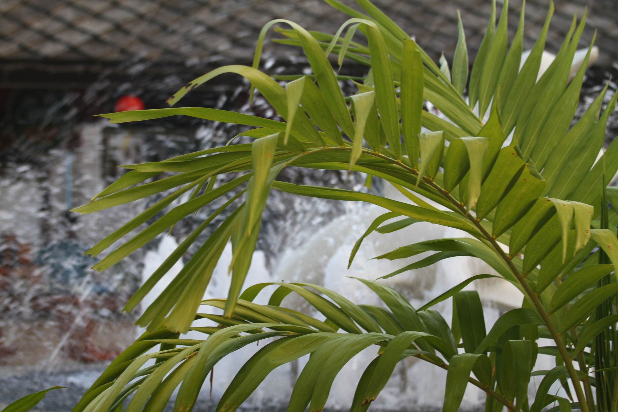 Тайланд. Пхукет 2013. Улица, люди, жизнь…