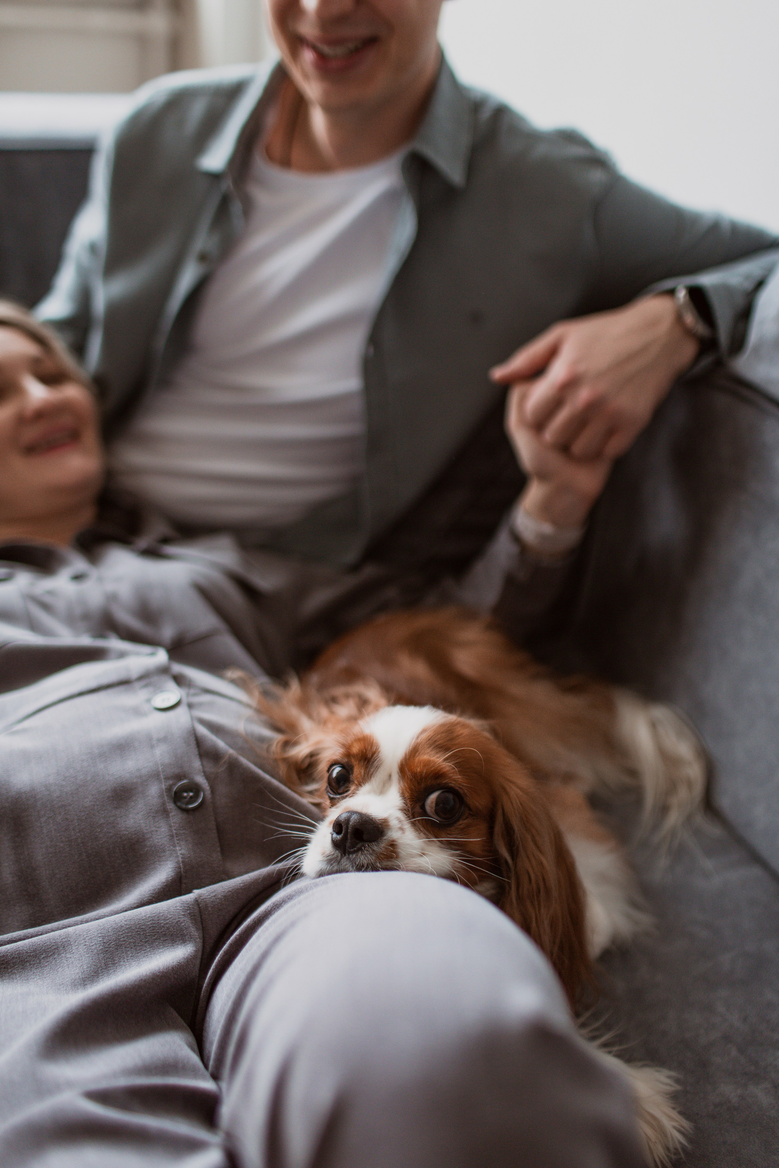 Женя Артем и Риччи. Свадебный и Семейный фотограф в Москве Александра Вайпер