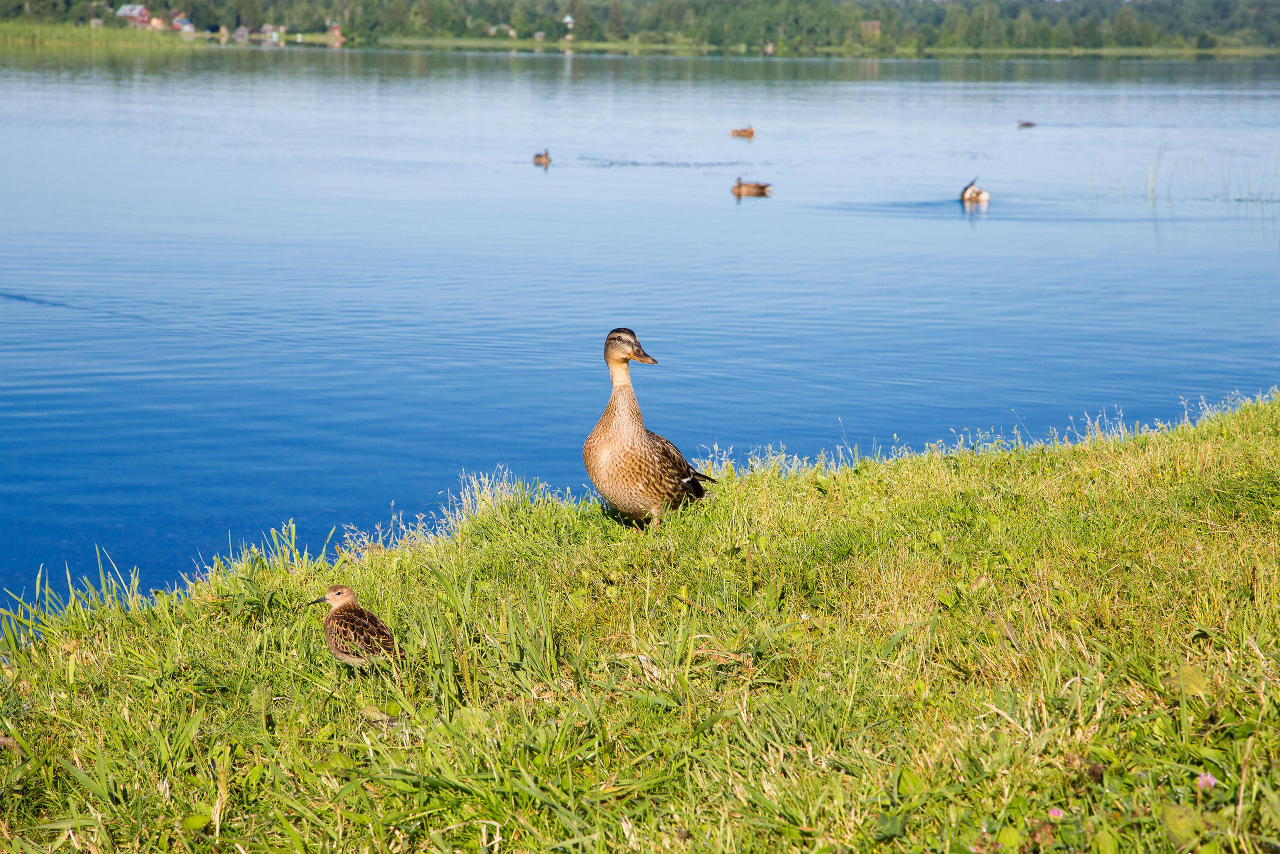 Золотое кольцо России. Пейзажи Крайнего Севера. Баренцево море, Рыбачий, Средний, Немецкий