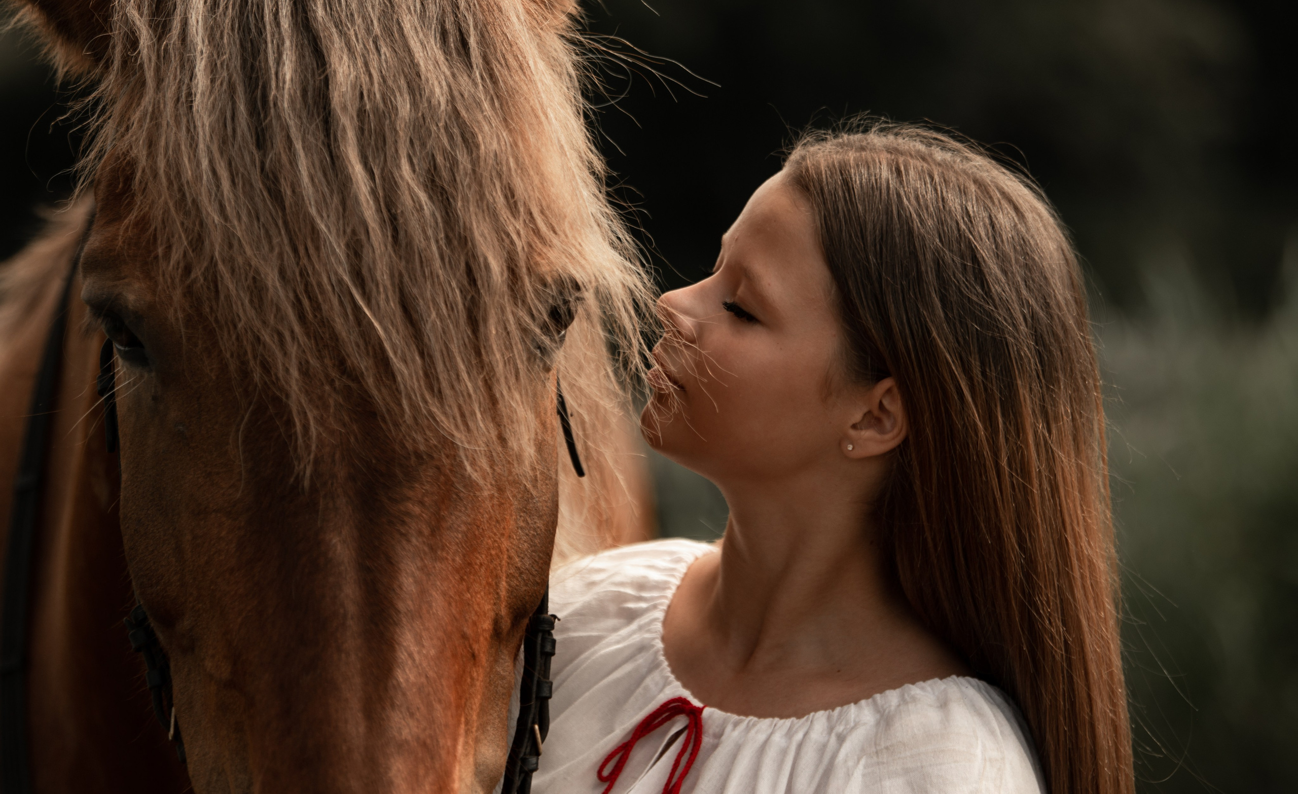 Вероника и Марта. Конный фотограф в Саратове Юлия Иванова