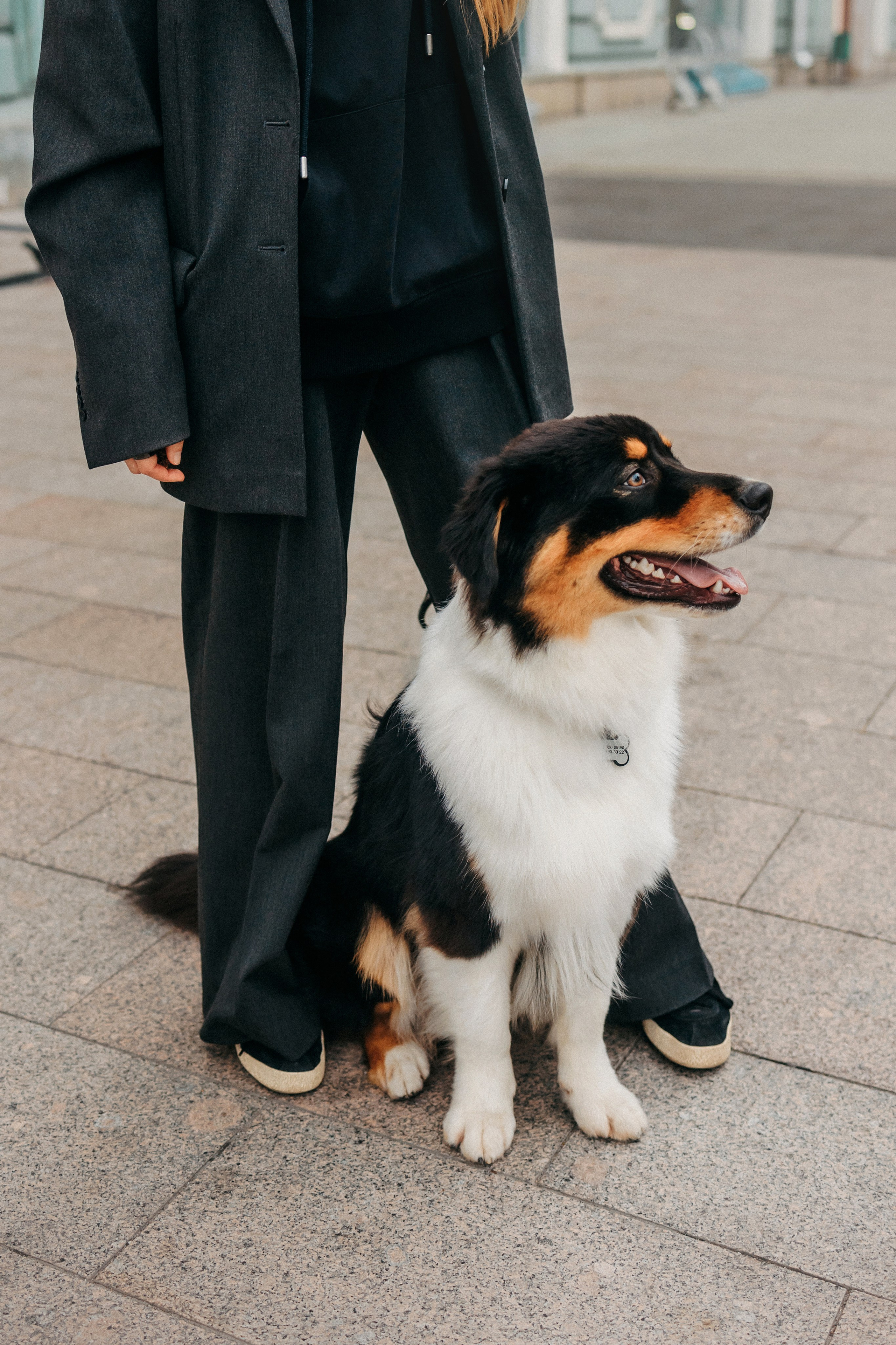 Лена и Рэй. Фотограф-анималист Елена Радченко, Москва