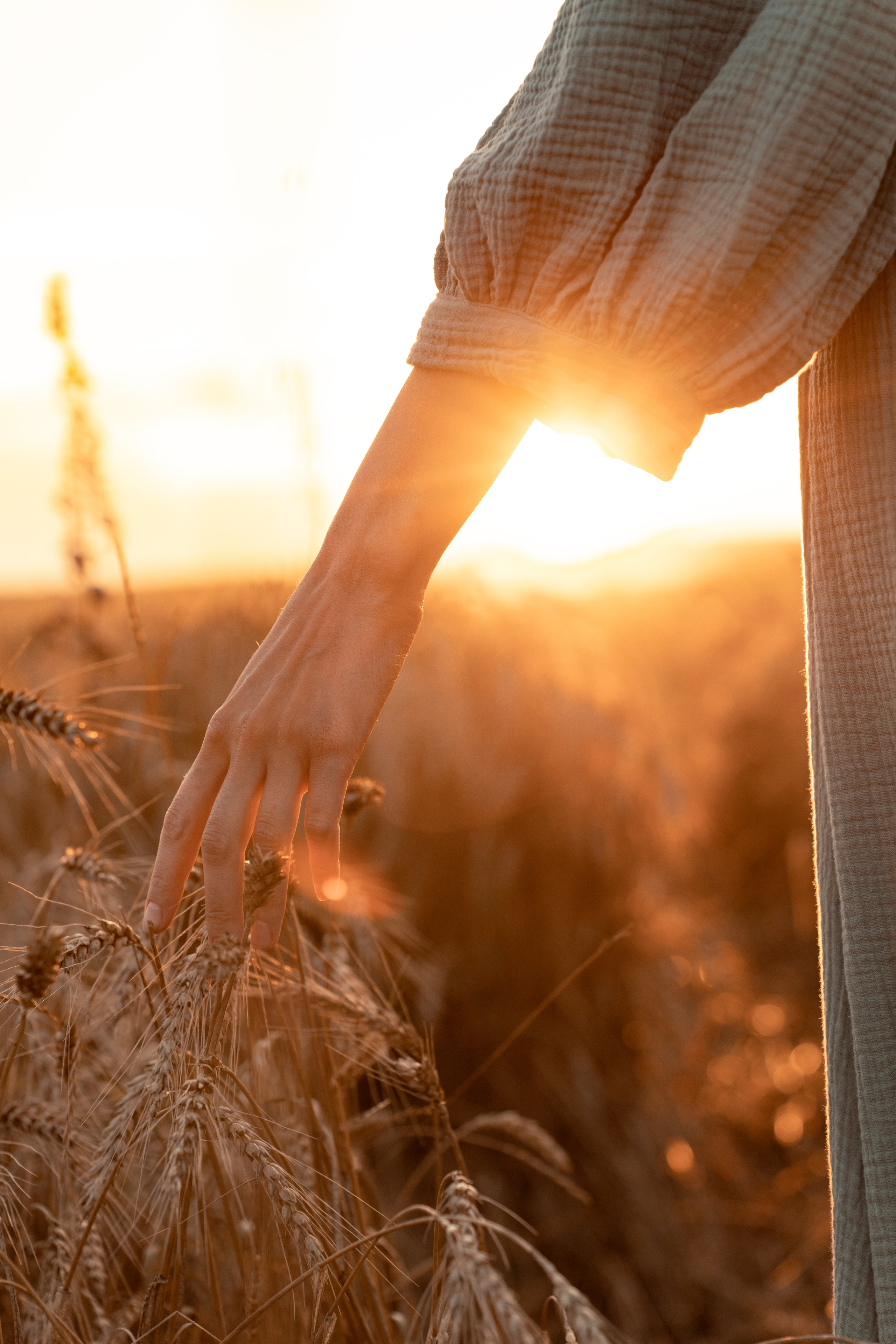 Violin p.1. Безрукова Юлия Art | EVENT Фотограф Москва