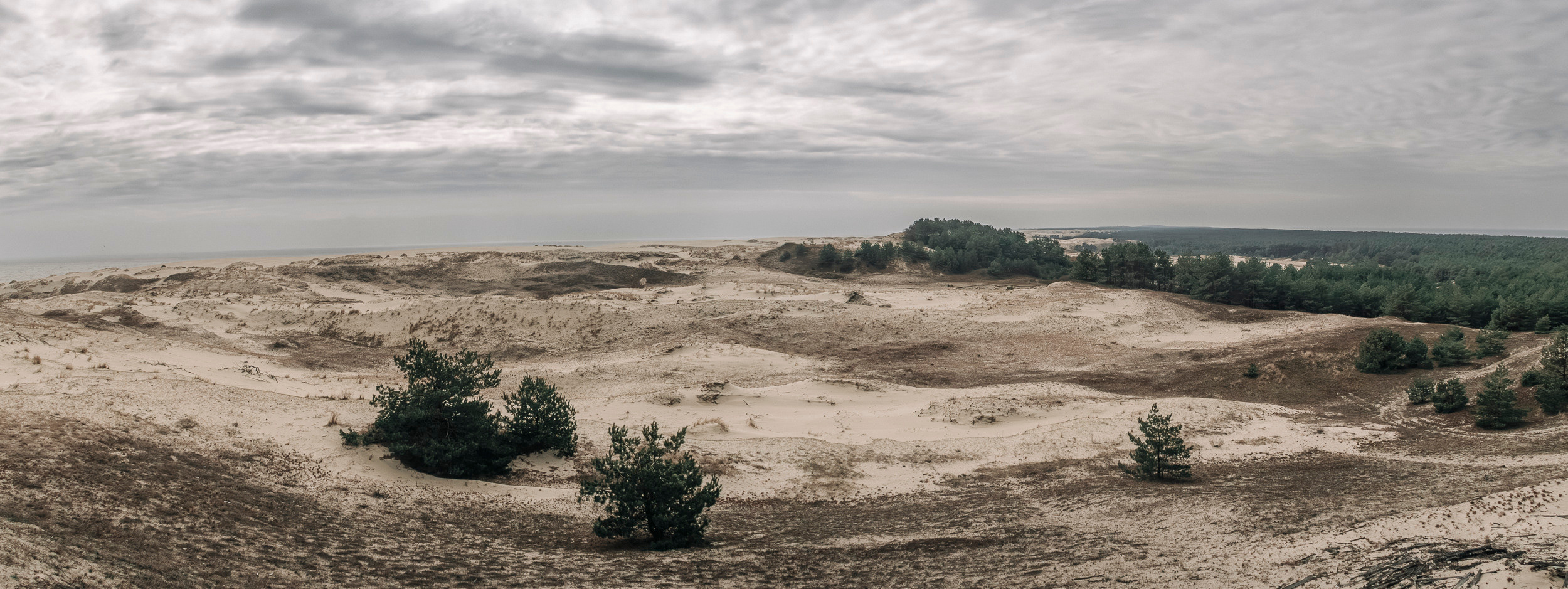 Калиниград. Фото из походов и путешествий клуба скандинавской ходьбы Пойдем Ходить