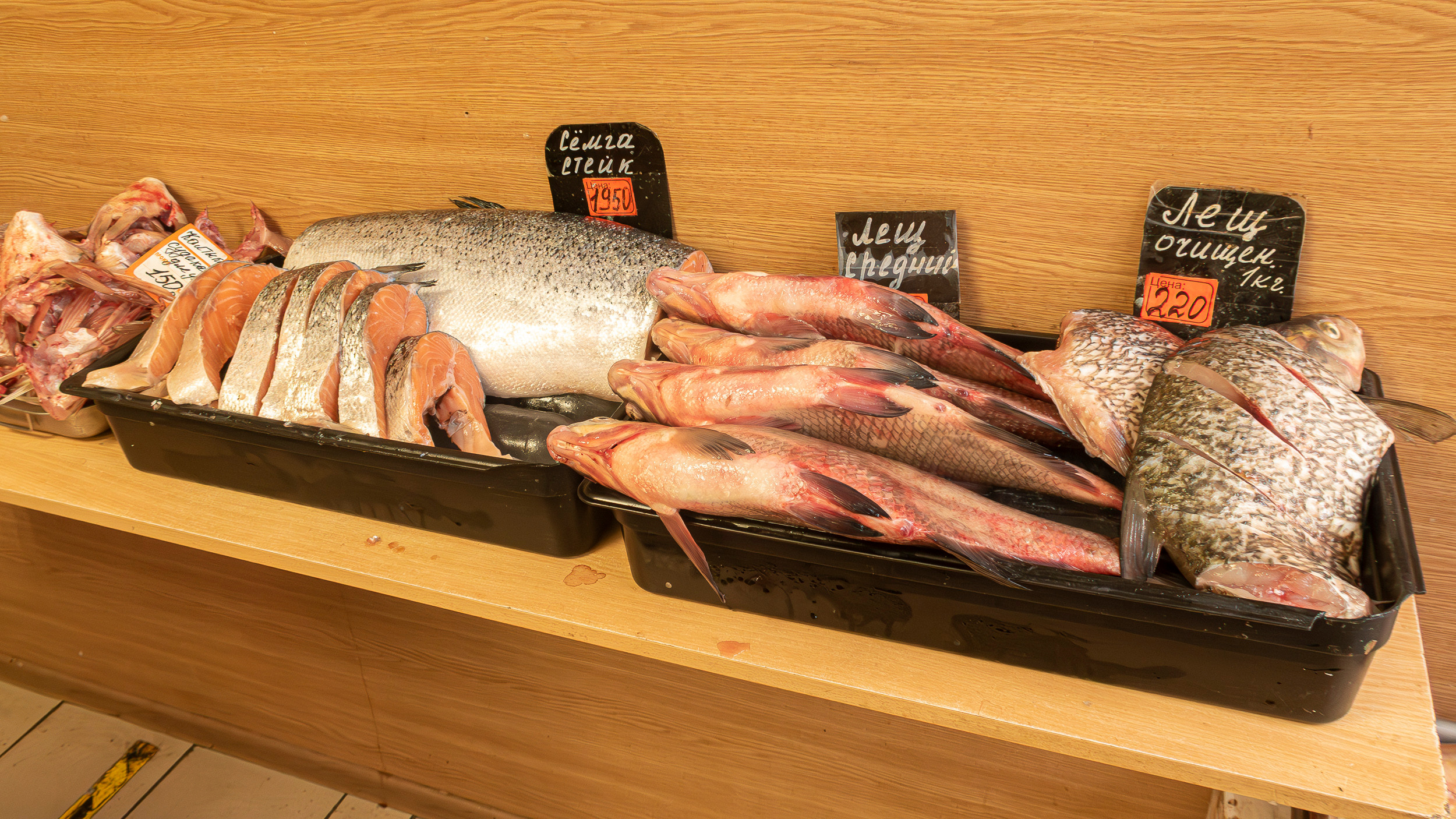 Калиниград. Фото из походов и путешествий клуба скандинавской ходьбы Пойдем Ходить