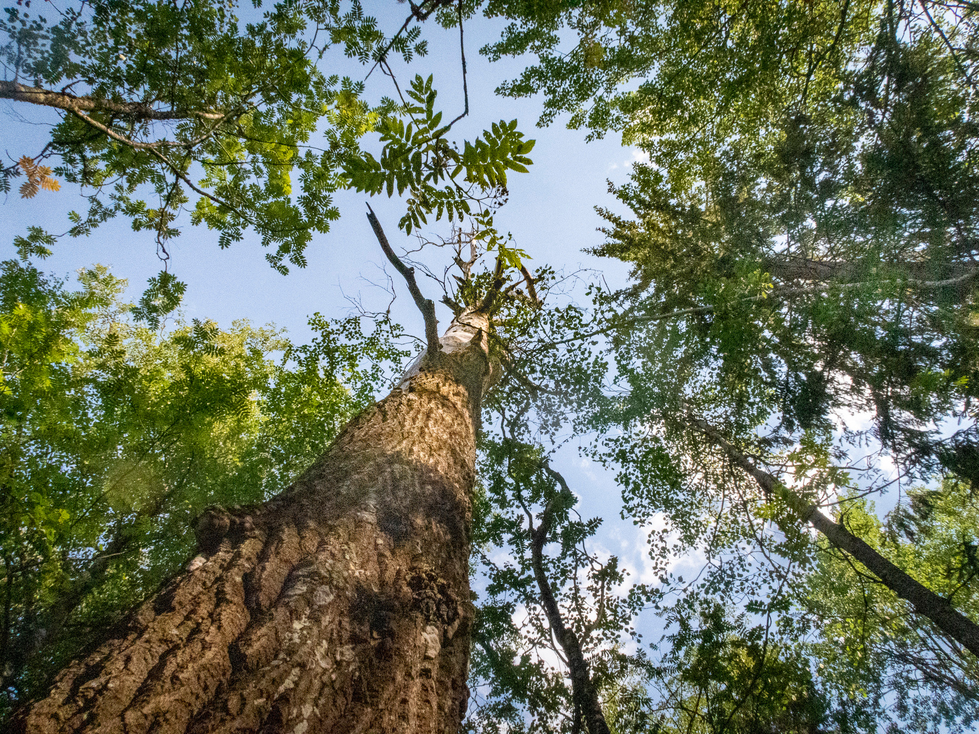 По Ладоге. Фото из походов и путешествий клуба скандинавской ходьбы Пойдем Ходить