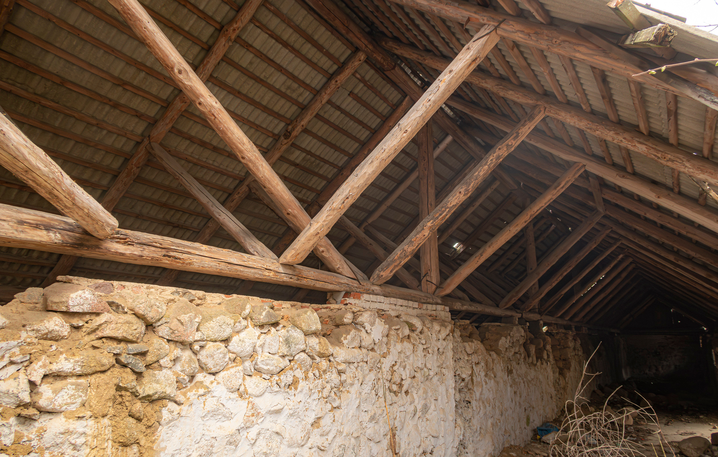 Калиниград. Фото из походов и путешествий клуба скандинавской ходьбы Пойдем Ходить