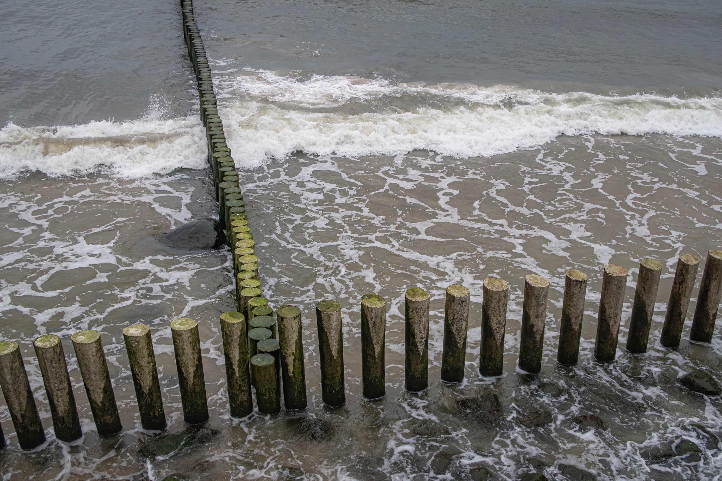 Калиниград. Фото из походов и путешествий клуба скандинавской ходьбы Пойдем Ходить