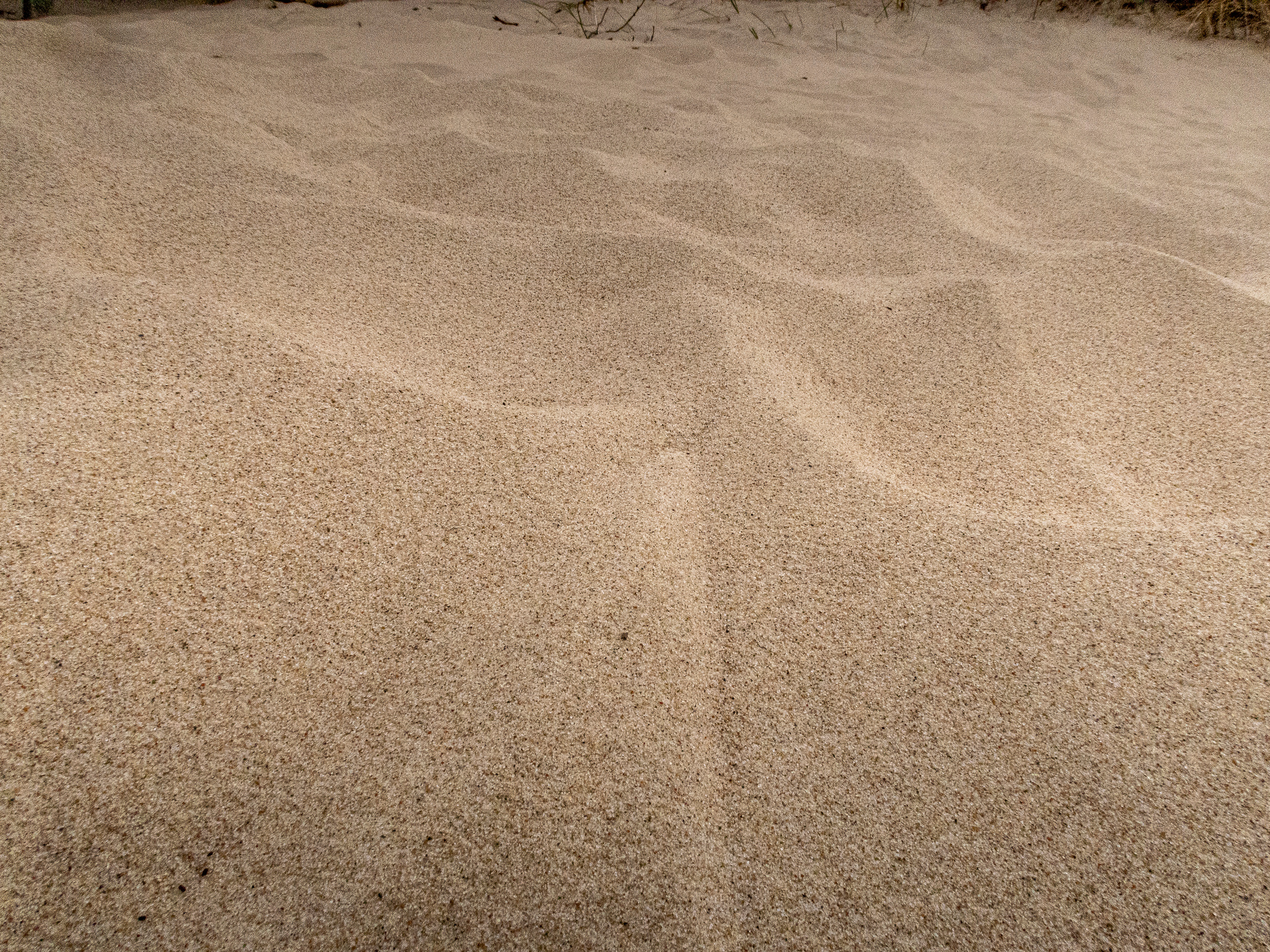 Калиниград. Фото из походов и путешествий клуба скандинавской ходьбы Пойдем Ходить