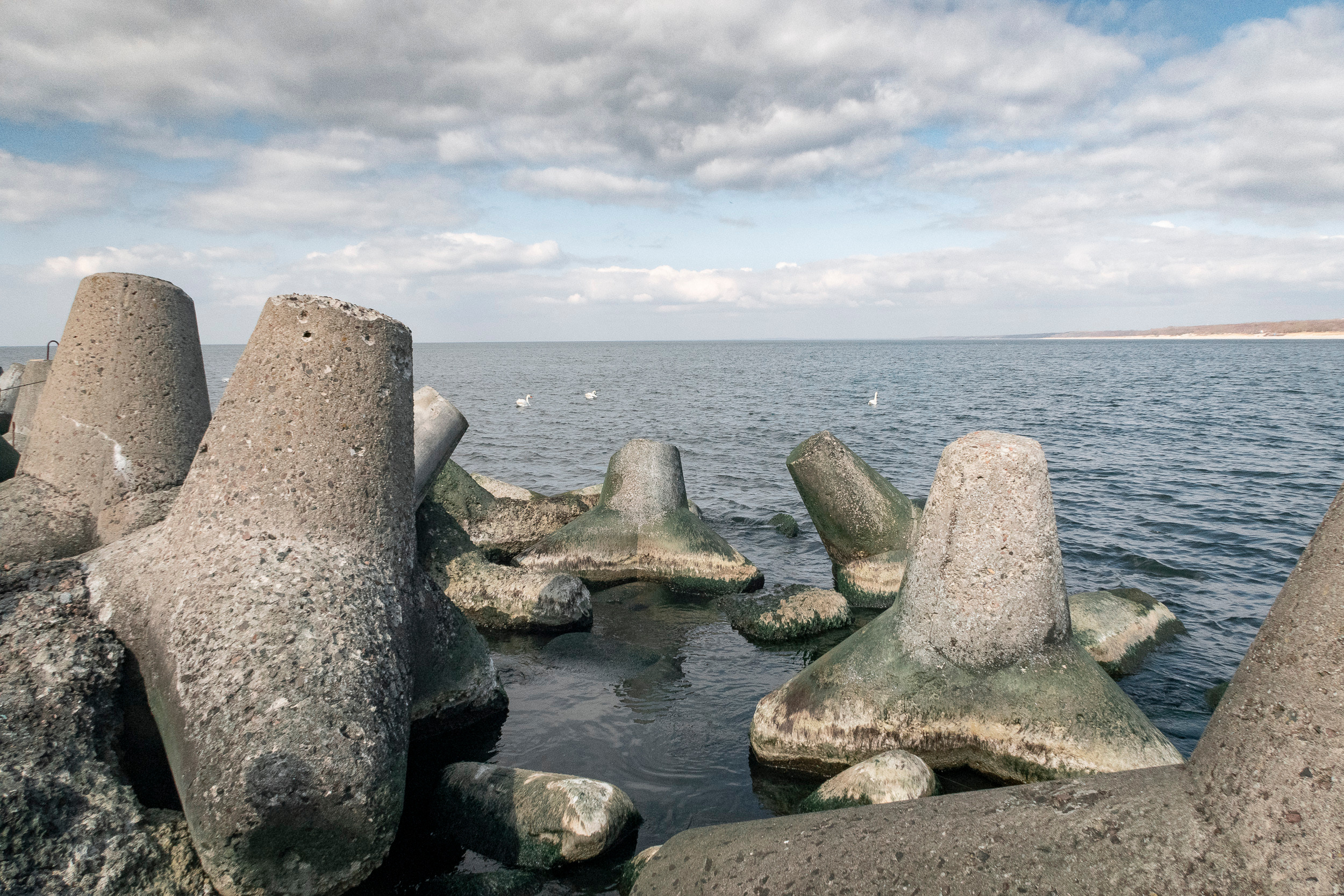 Калиниград. Фото из походов и путешествий клуба скандинавской ходьбы Пойдем Ходить