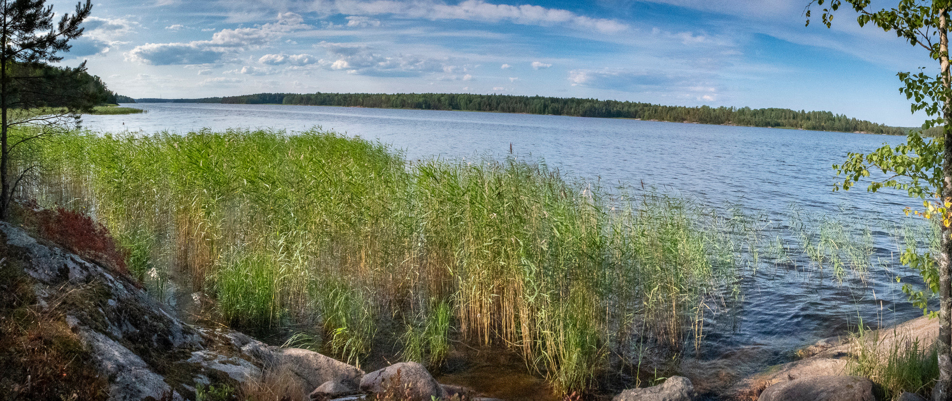 По Ладоге. Фото из походов и путешествий клуба скандинавской ходьбы Пойдем Ходить