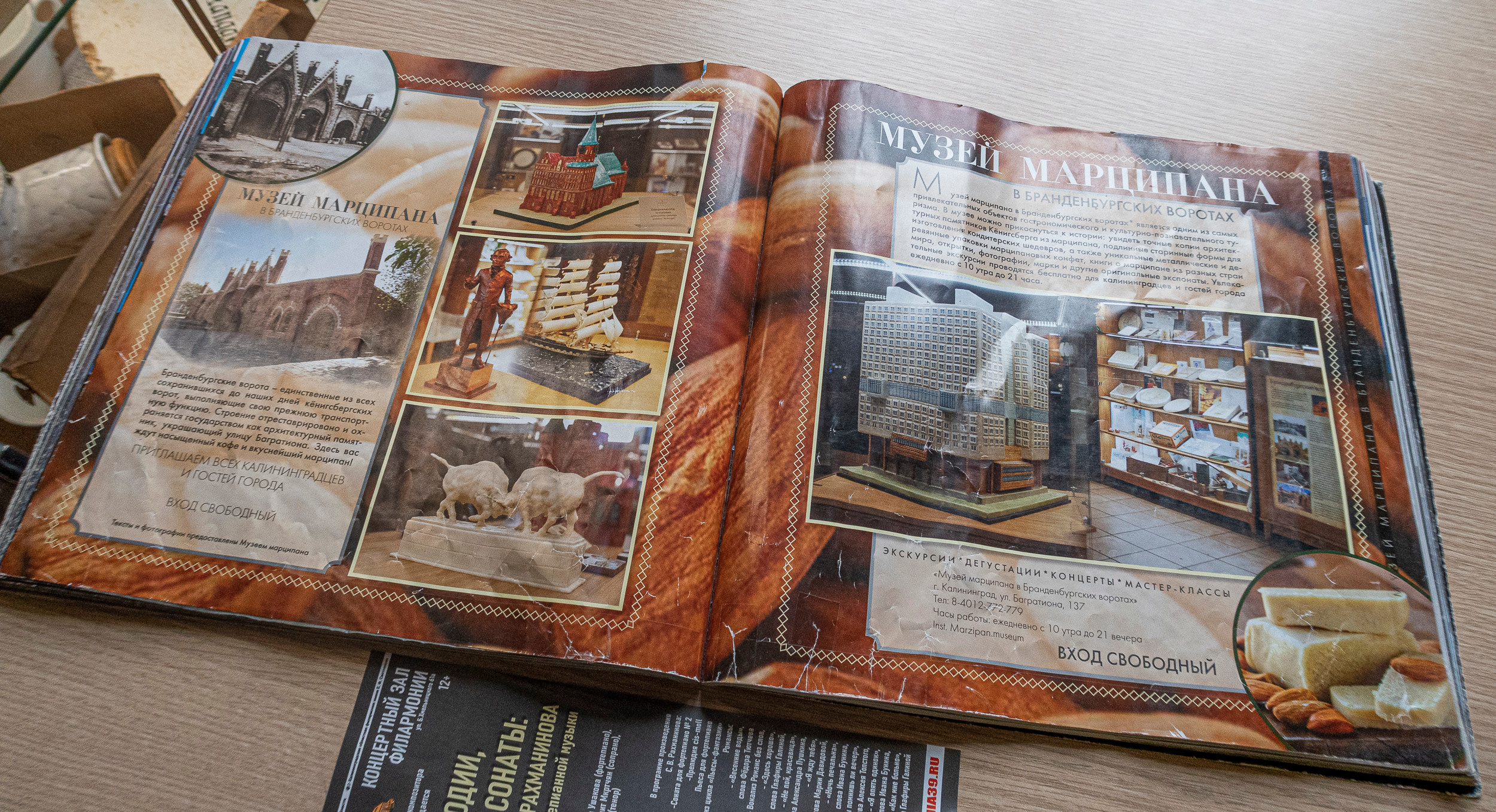 Калиниград. Фото из походов и путешествий клуба скандинавской ходьбы Пойдем Ходить