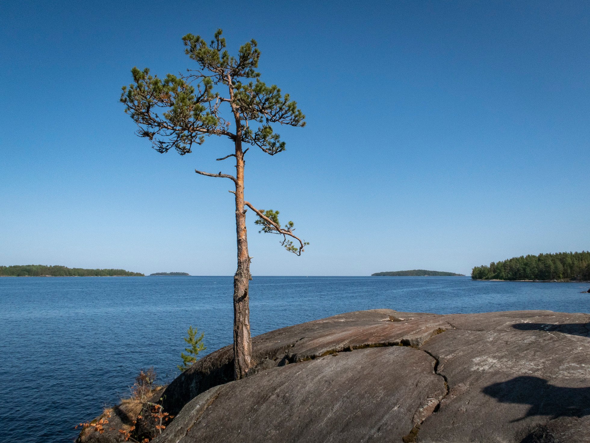 По Ладоге. Фото из походов и путешествий клуба скандинавской ходьбы Пойдем Ходить