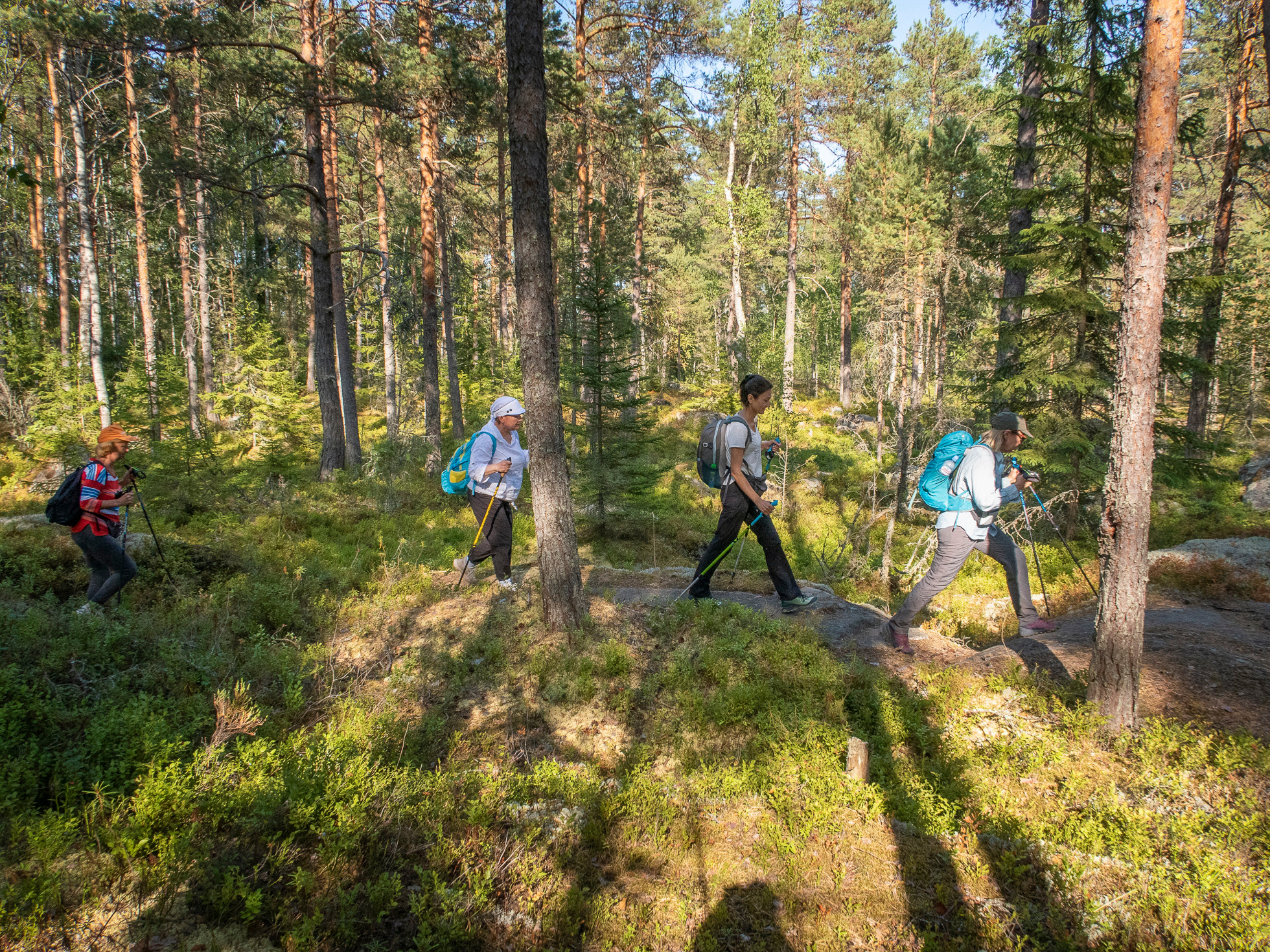 По Ладоге. Фото из походов и путешествий клуба скандинавской ходьбы Пойдем Ходить