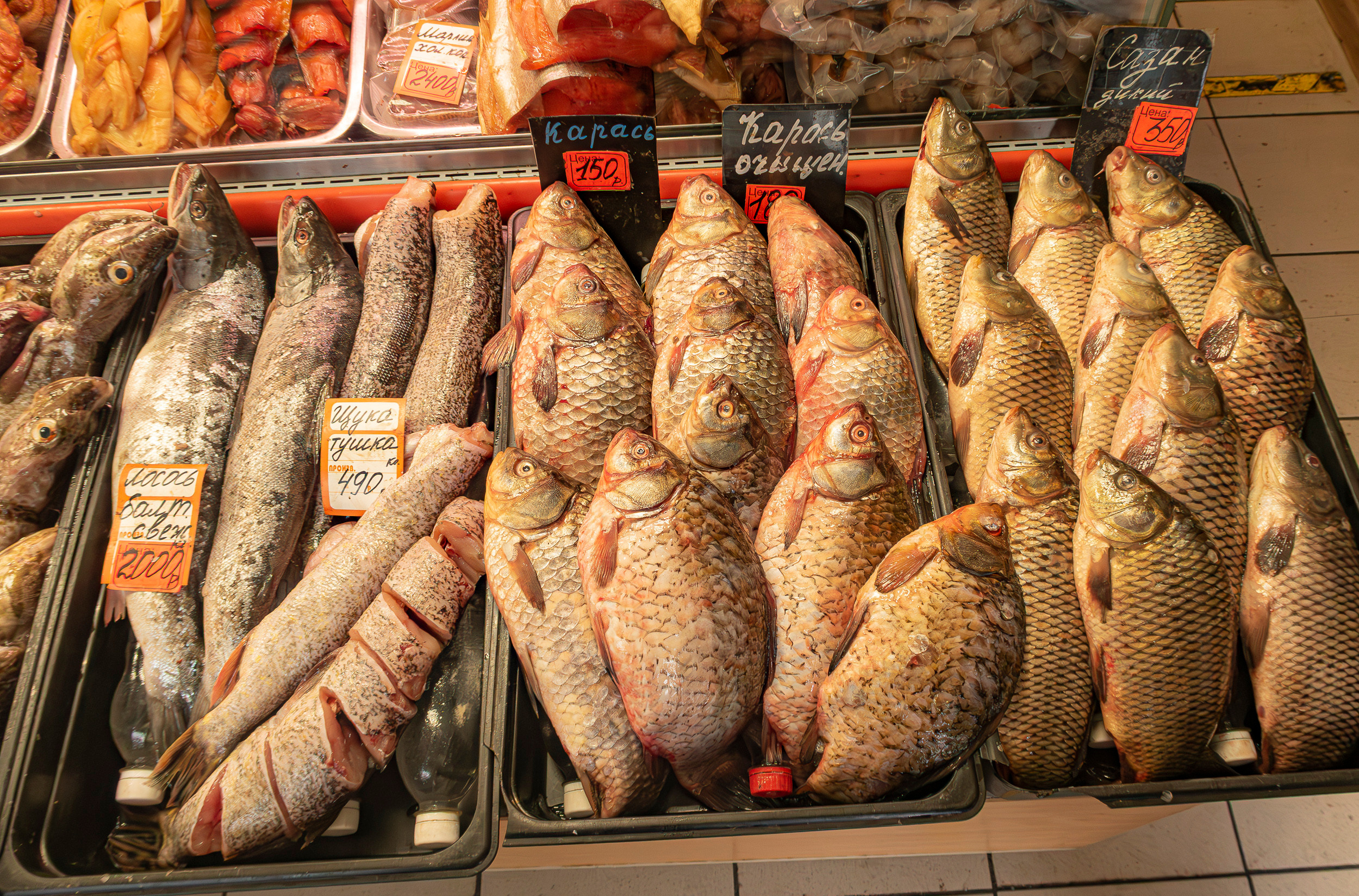 Калиниград. Фото из походов и путешествий клуба скандинавской ходьбы Пойдем Ходить