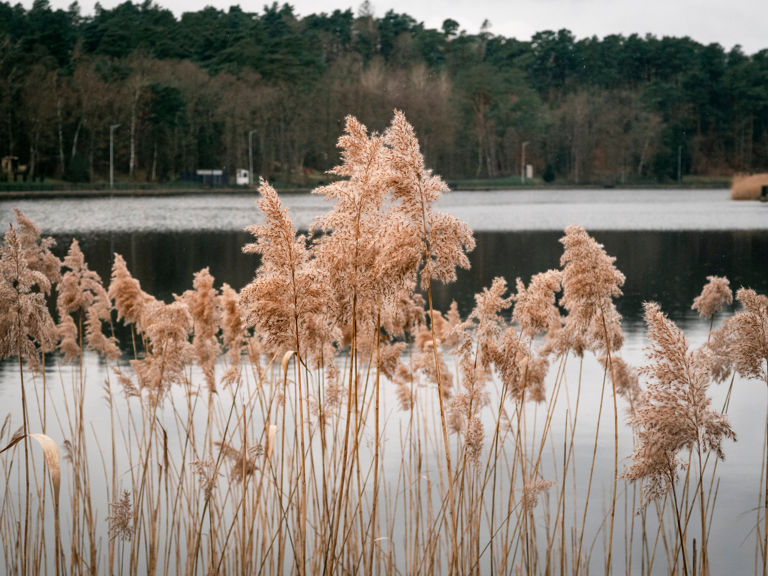 Калиниград. Фото из походов и путешествий клуба скандинавской ходьбы Пойдем Ходить