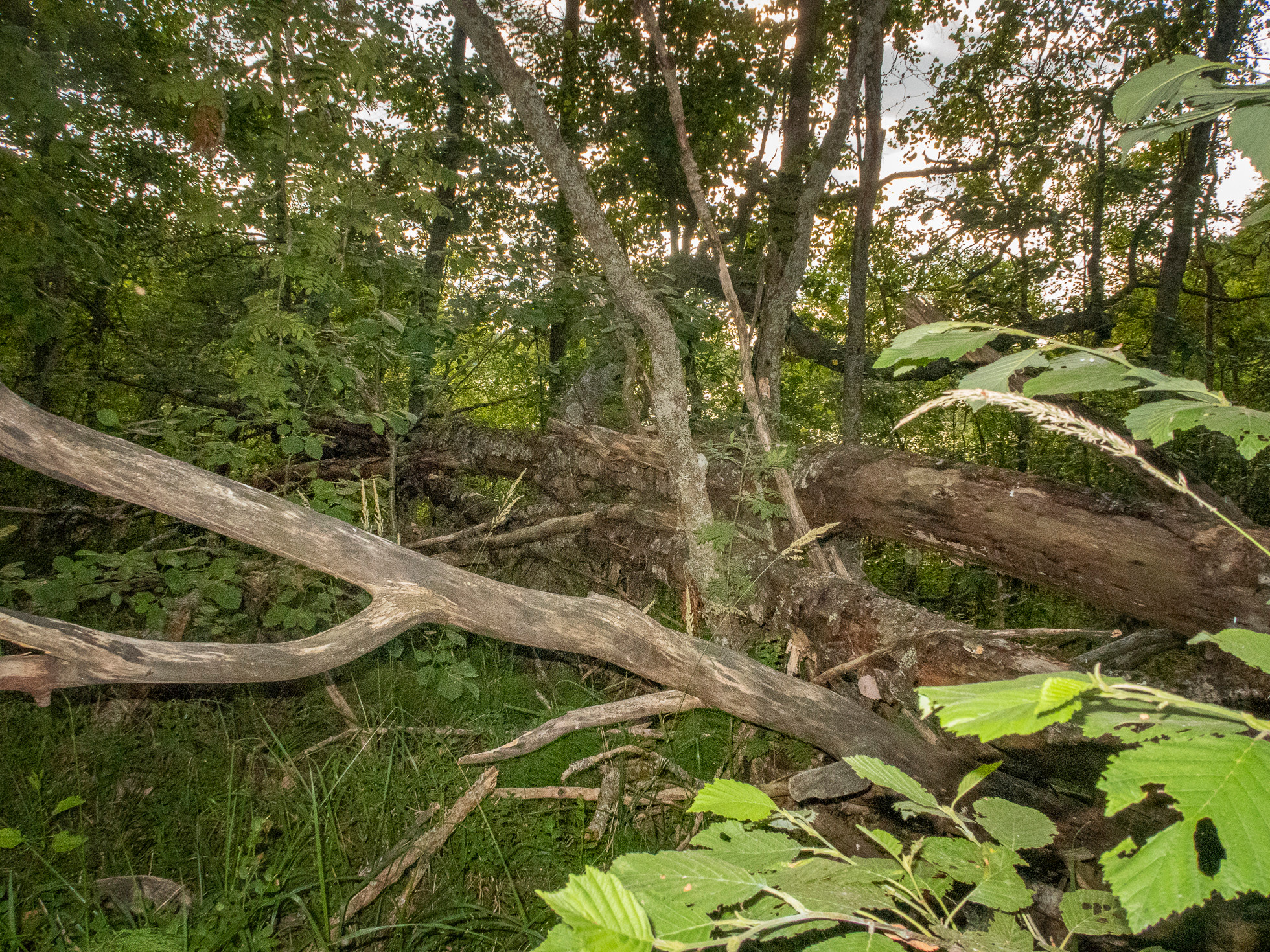 По Ладоге. Фото из походов и путешествий клуба скандинавской ходьбы Пойдем Ходить