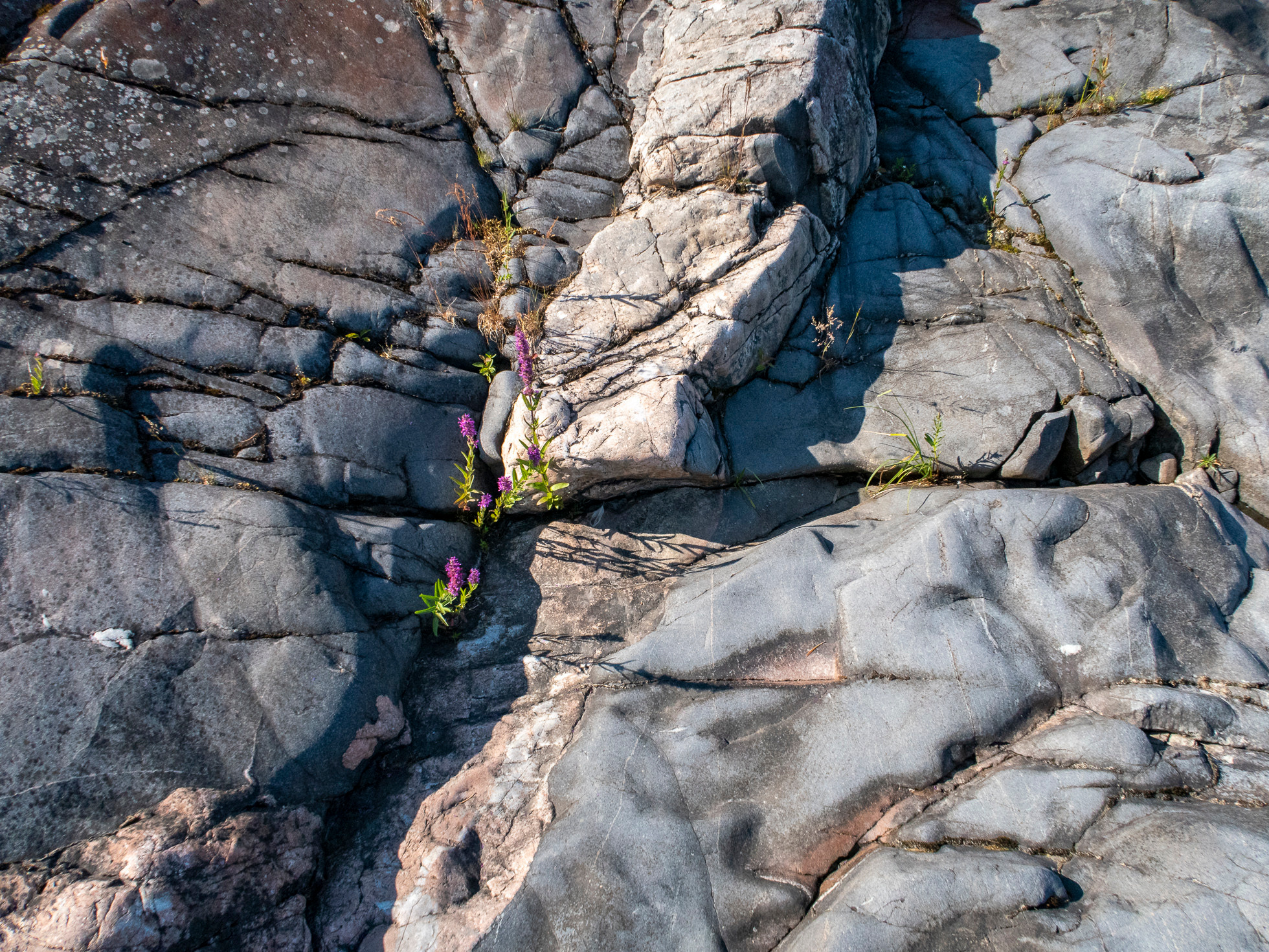 По Ладоге. Фото из походов и путешествий клуба скандинавской ходьбы Пойдем Ходить