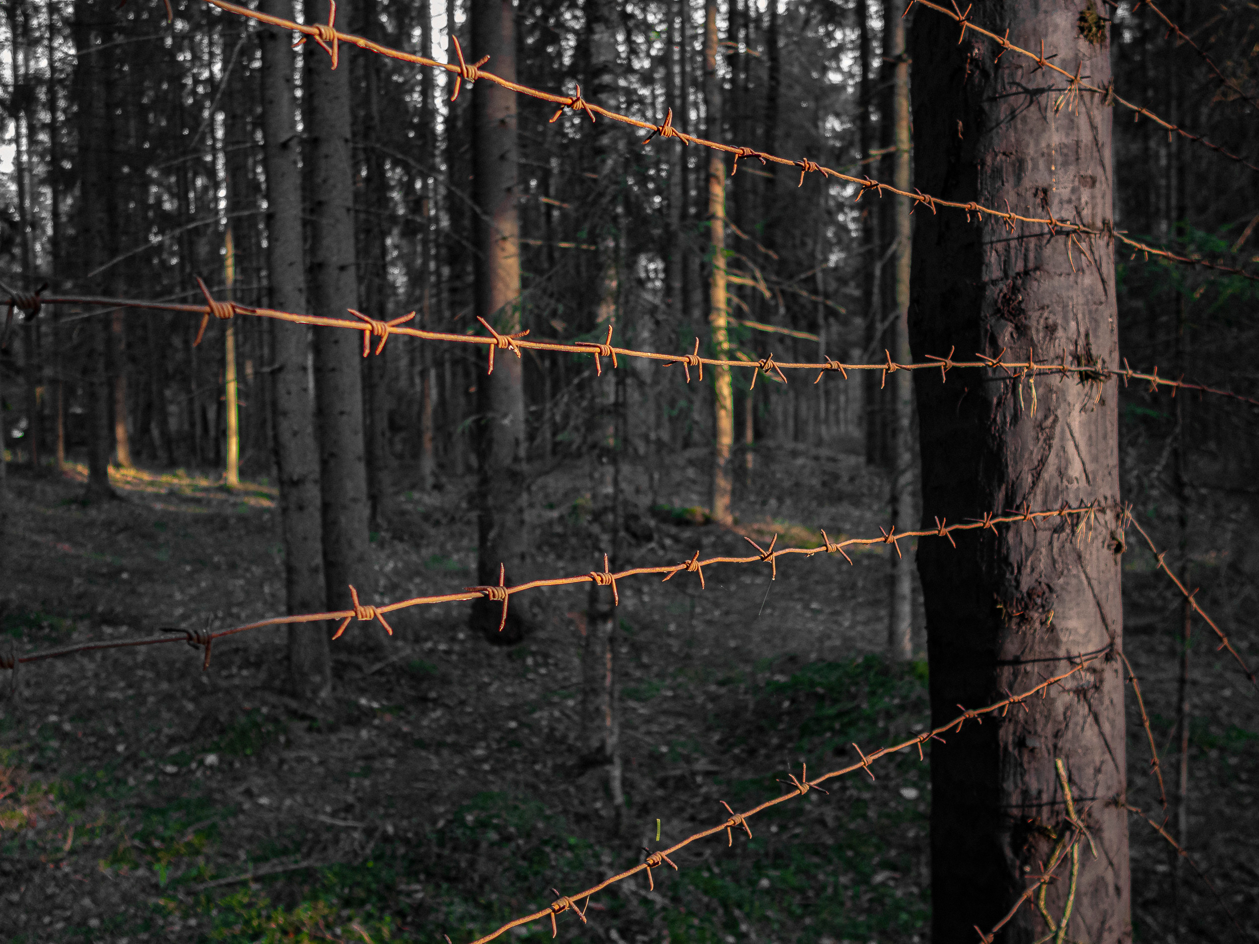 Очень странное место…. Фото из походов и путешествий клуба скандинавской ходьбы Пойдем Ходить