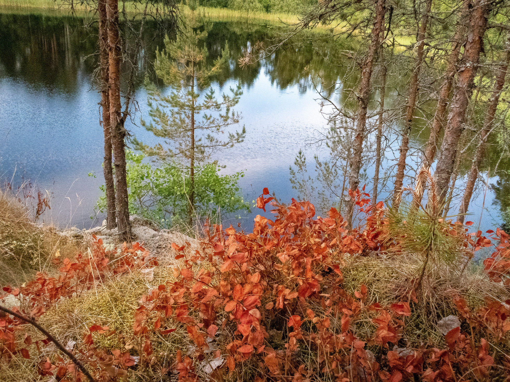 По Ладоге. Фото из походов и путешествий клуба скандинавской ходьбы Пойдем Ходить