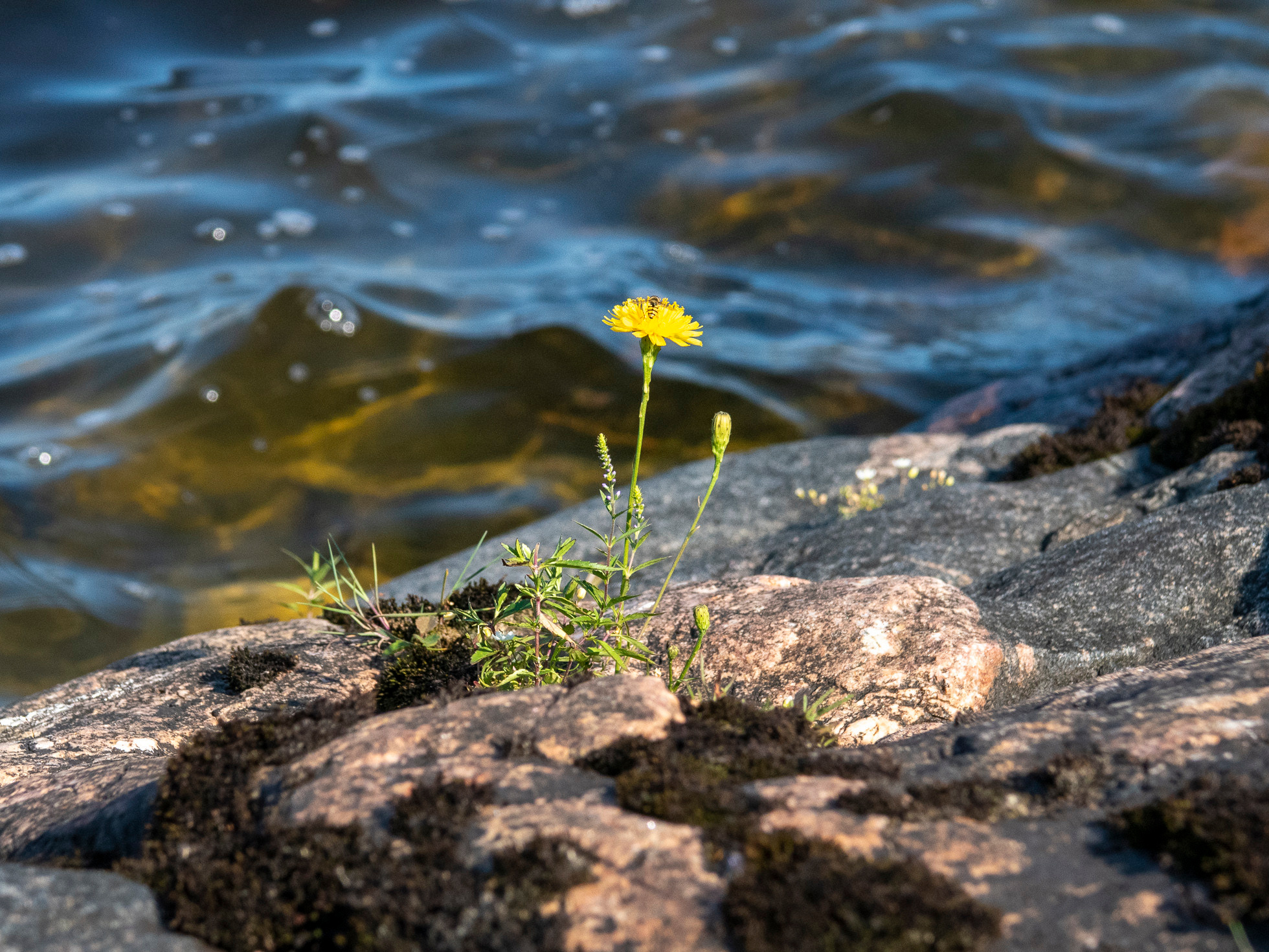 По Ладоге. Фото из походов и путешествий клуба скандинавской ходьбы Пойдем Ходить