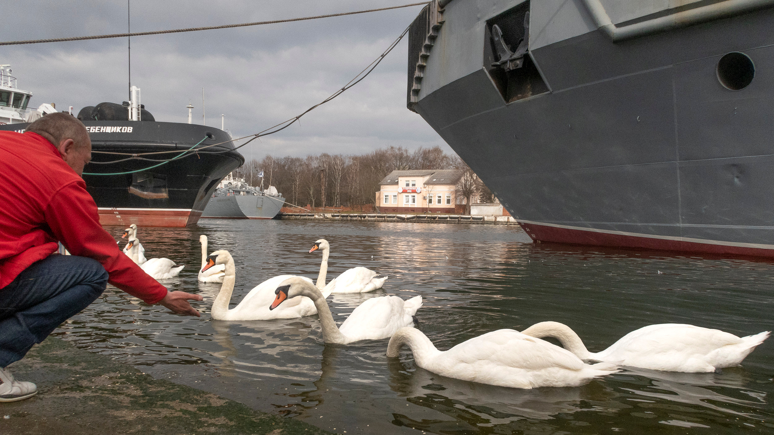 Калиниград. Фото из походов и путешествий клуба скандинавской ходьбы Пойдем Ходить