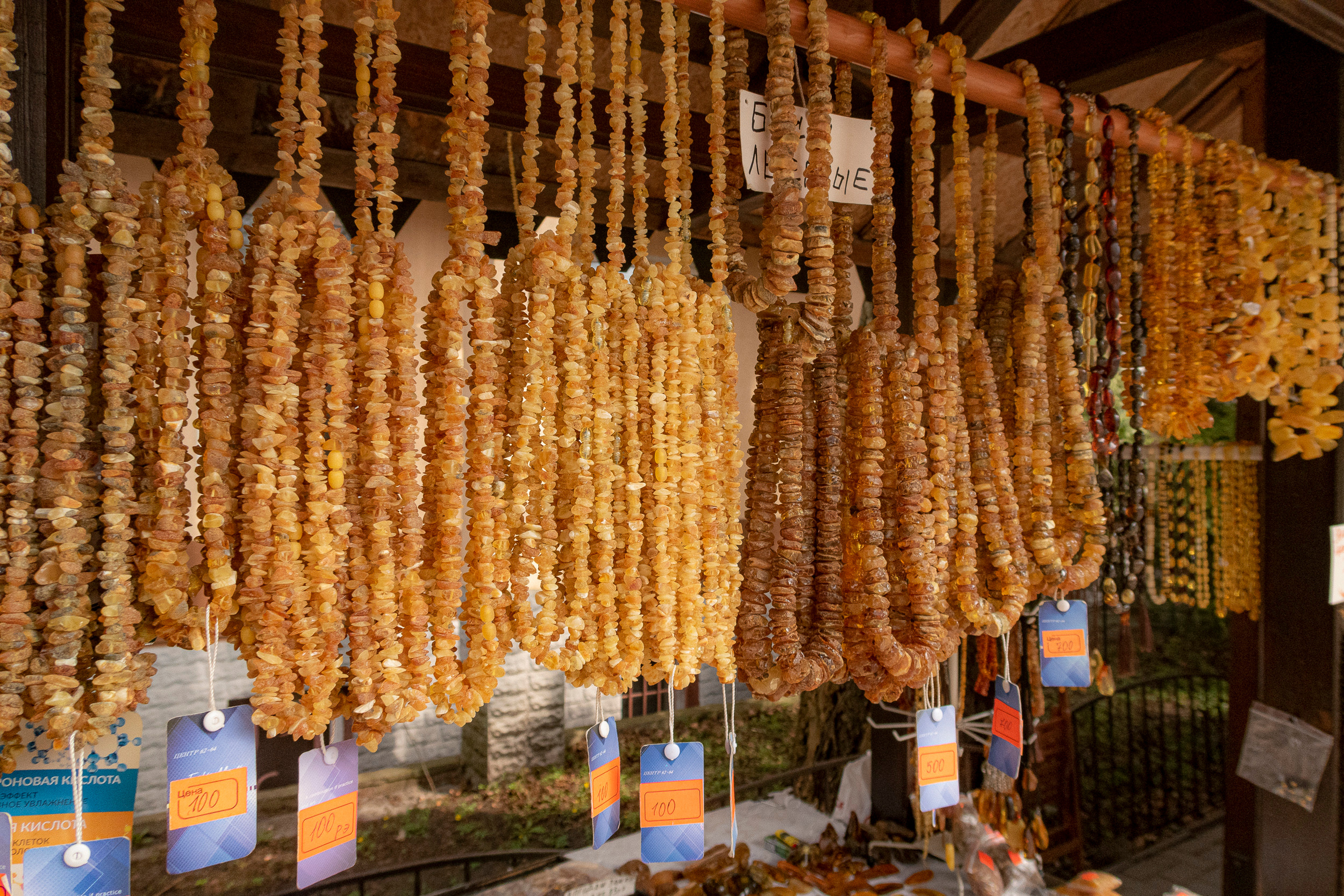 Калиниград. Фото из походов и путешествий клуба скандинавской ходьбы Пойдем Ходить