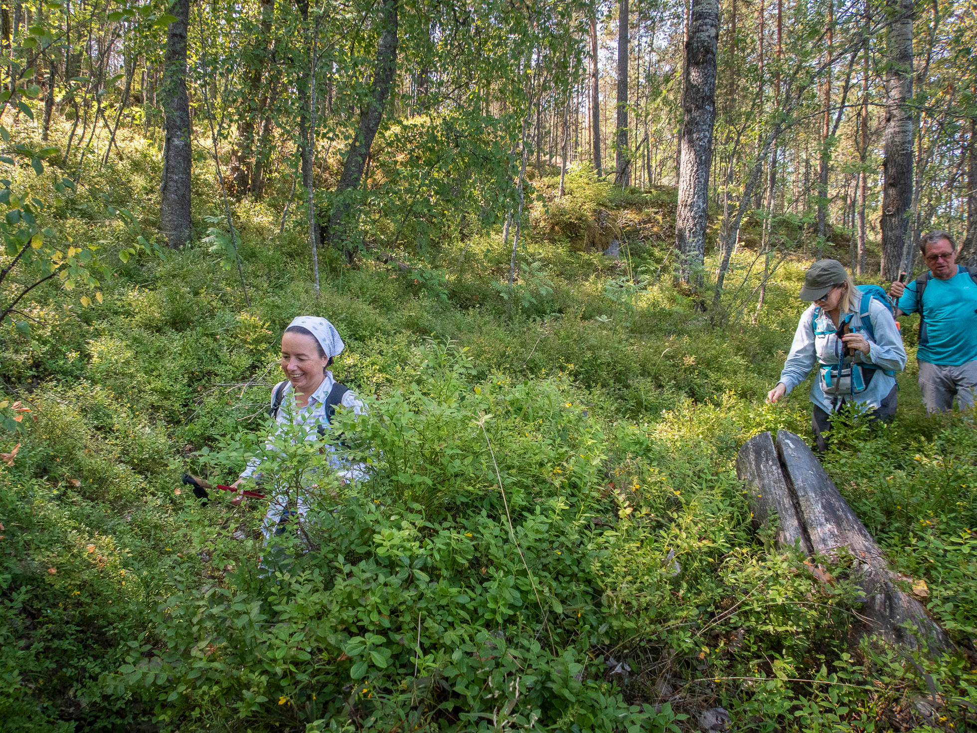 По Ладоге. Фото из походов и путешествий клуба скандинавской ходьбы Пойдем Ходить