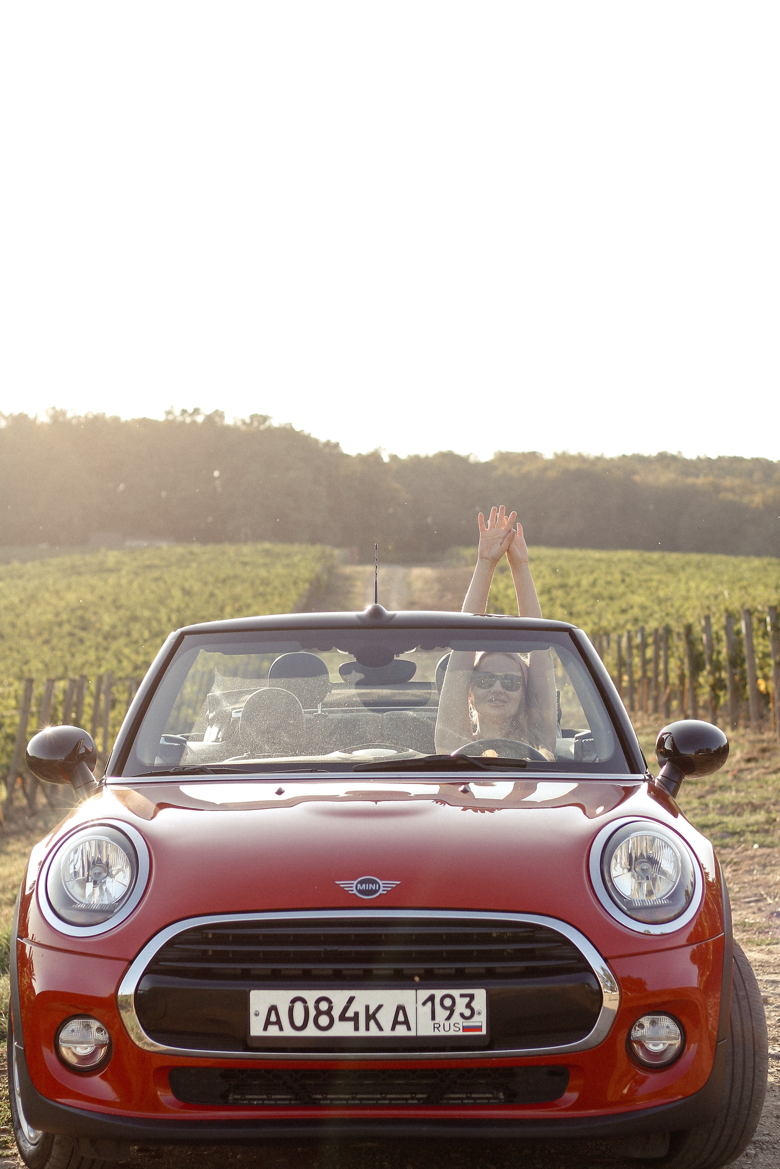 Елена. Фотограф Краснодар