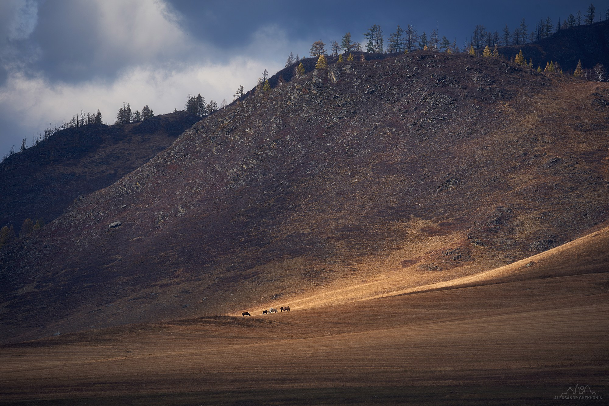 Landscape. Landscape photographer Aleksandr Chekhonin