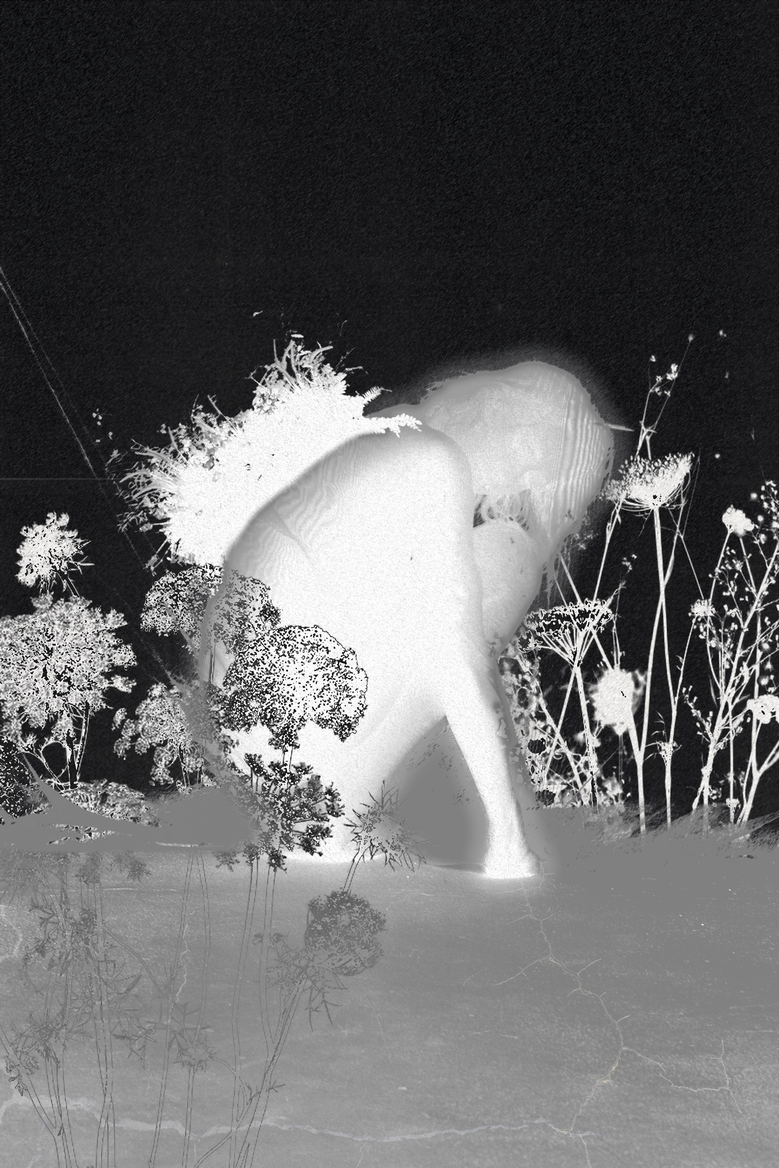 Ксения. Фотограф|Санкт-Петербург