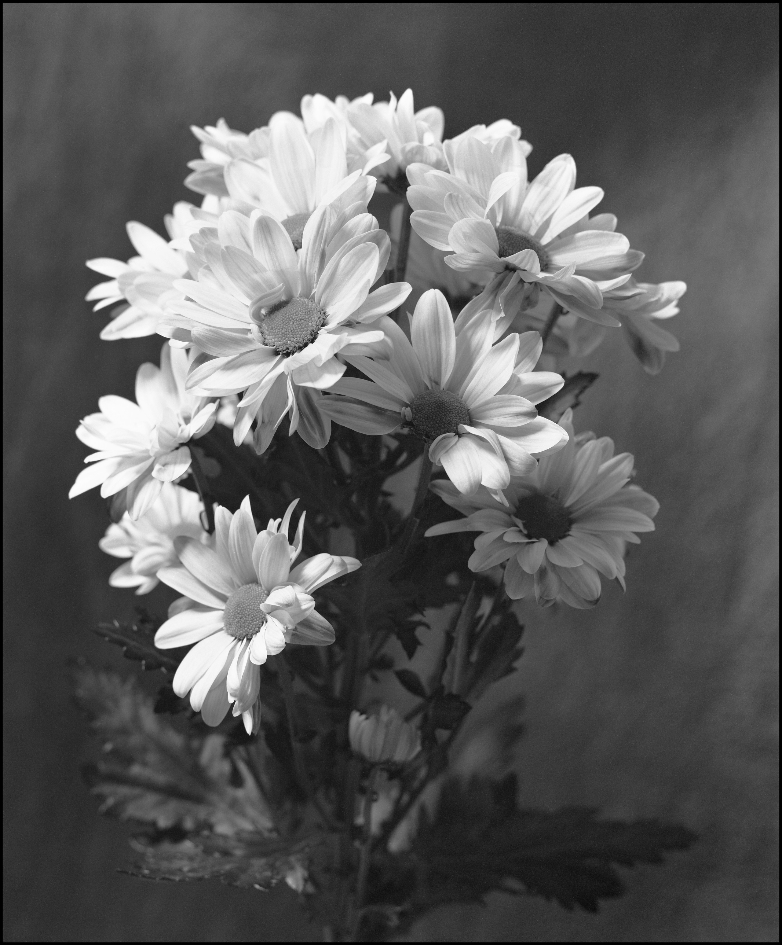 Натюрморт. Кондрюк Сергей фотограф |художник