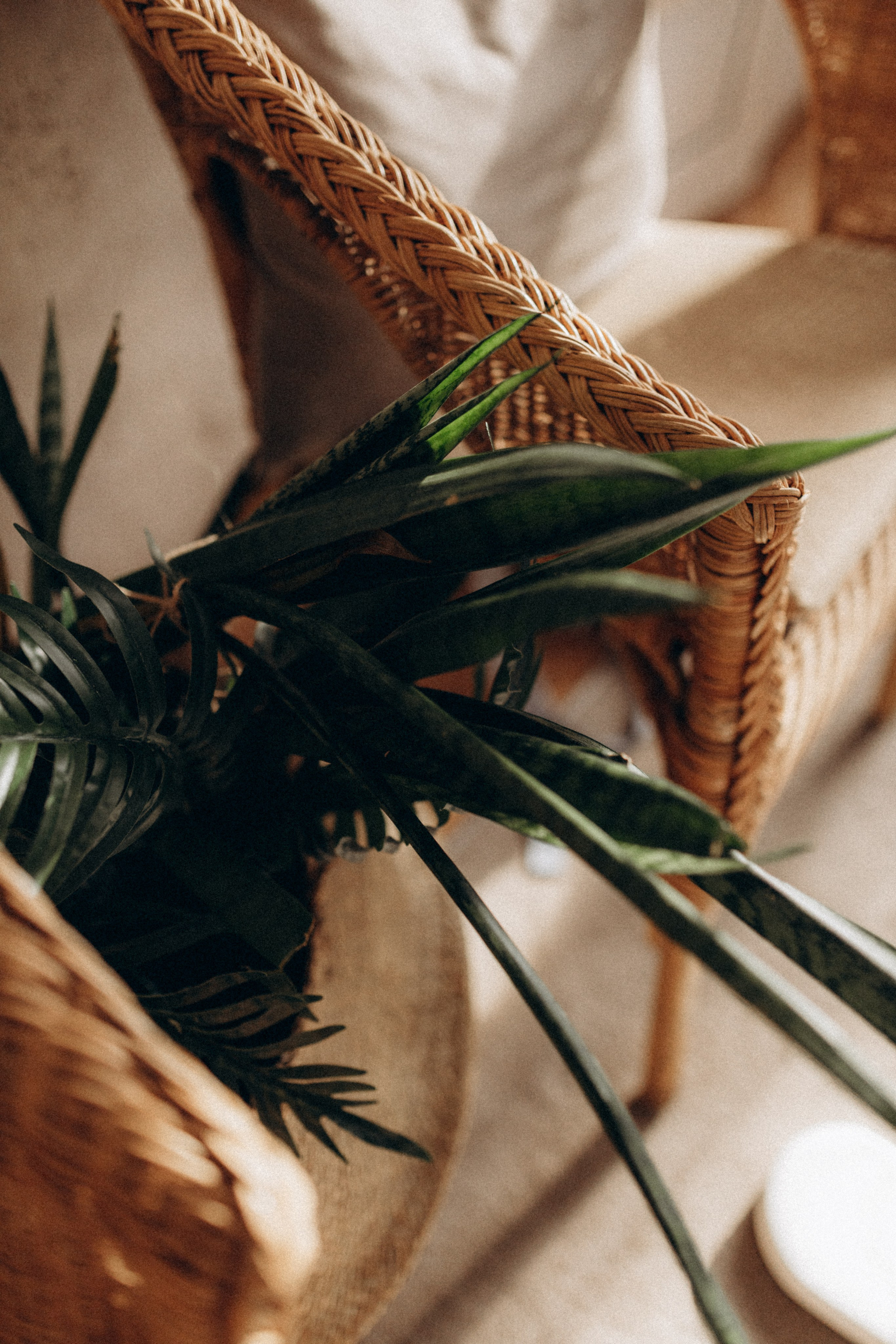 Контент для мастера чайной церемонии/гвоздестояние. Фотограф НОГИНСК, Москва, Анастасия Белая