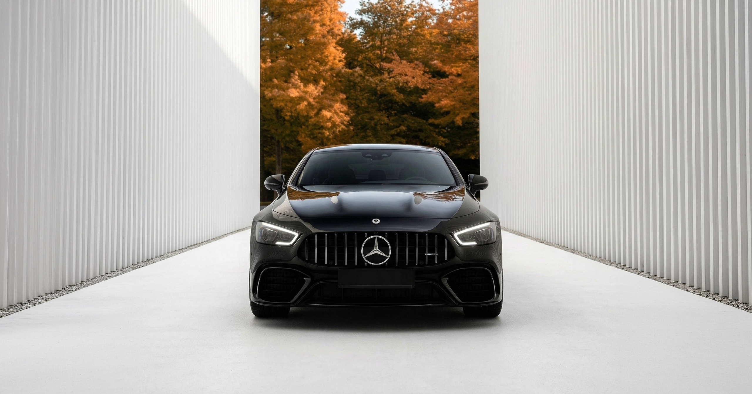 Фотограф Светлана Усова