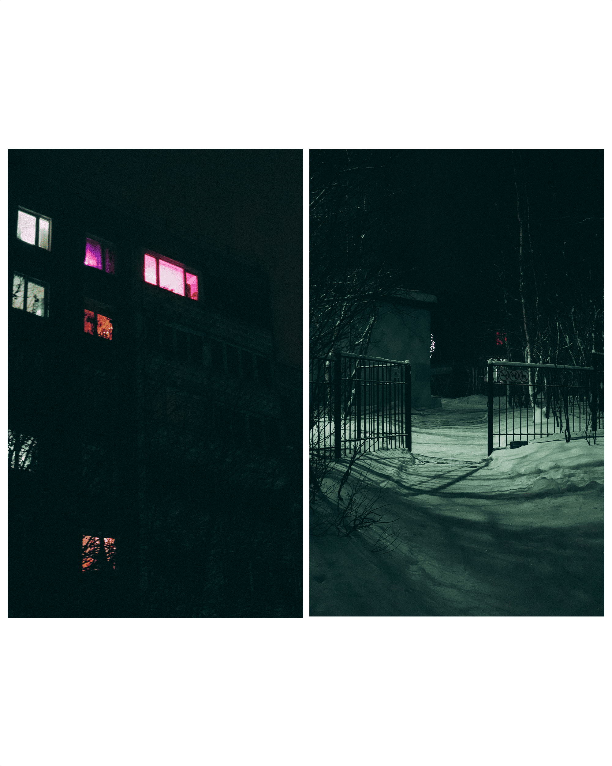 Зимняя ночь. Фотограф Алиса Аспер