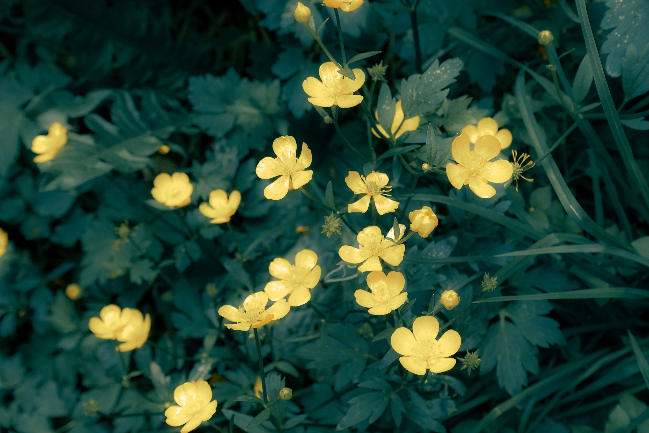 Санкт-Петербург. Фотограф Алиса Аспер
