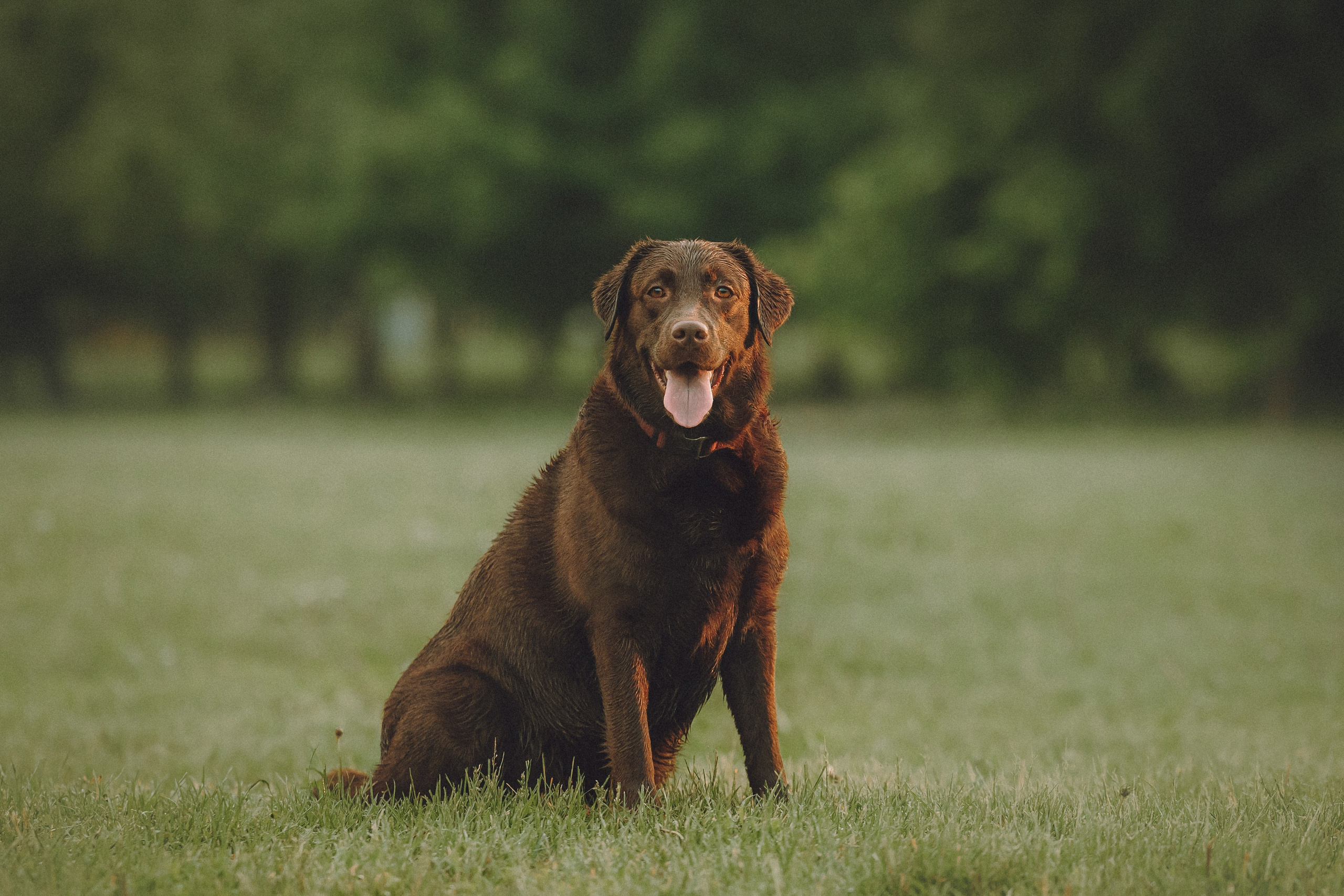 Катя, Ваня и Джеси