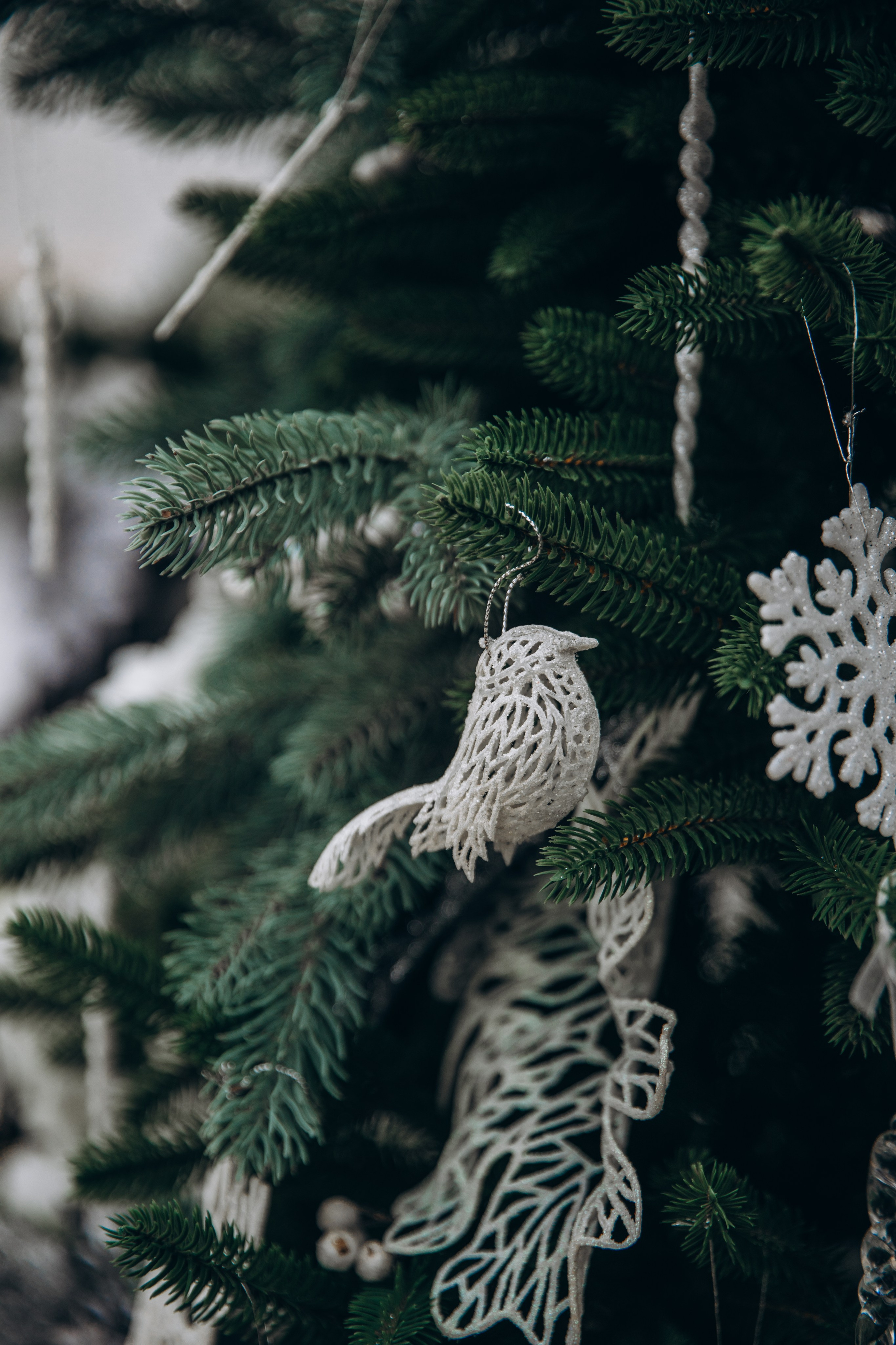 Уличная локация «Лесной дом». Фотостудия в Мариуполе «Берлога»