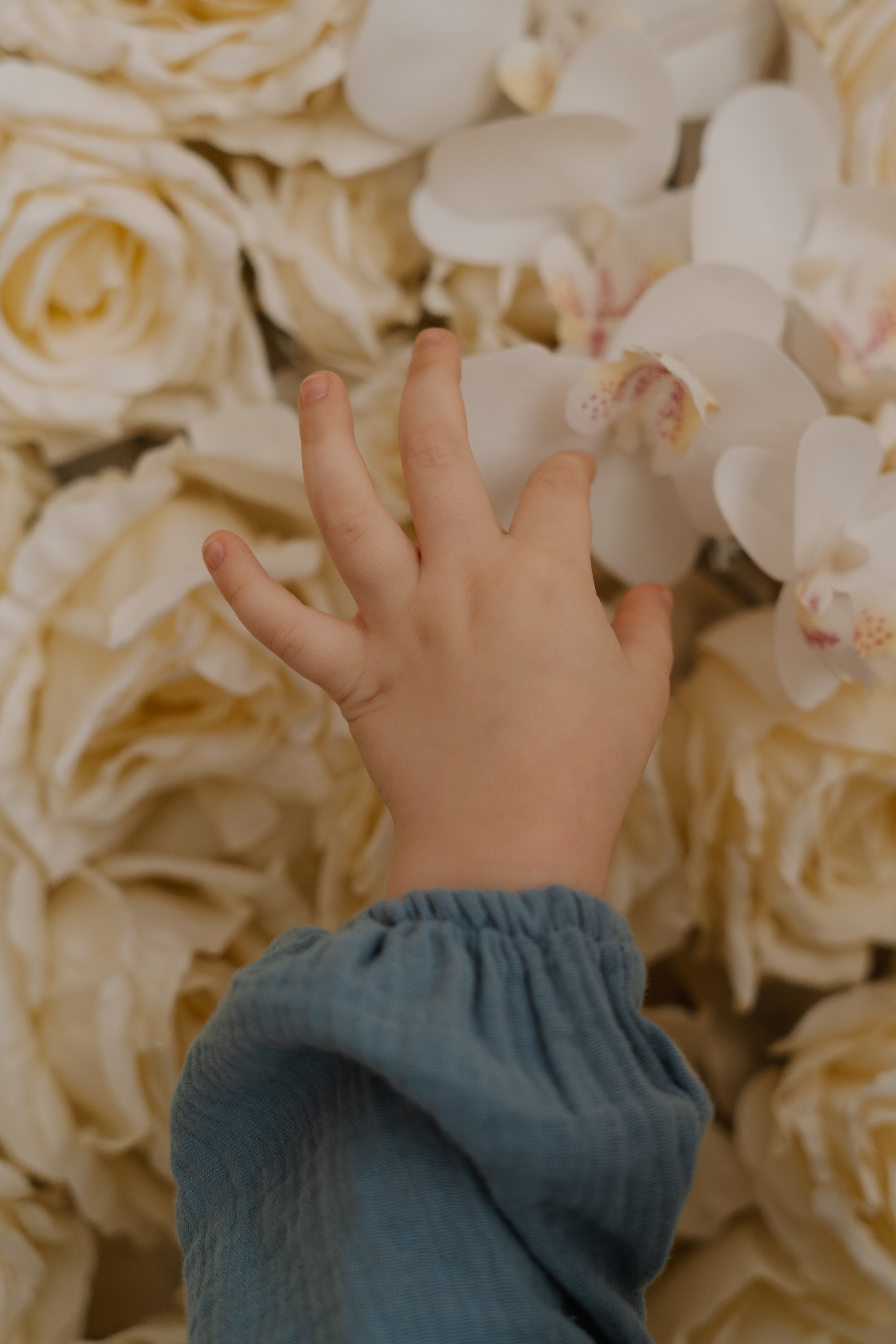 Настя. СВАДЕБНЫЙ ФОТОГРАФ КРАСНОЯРСК