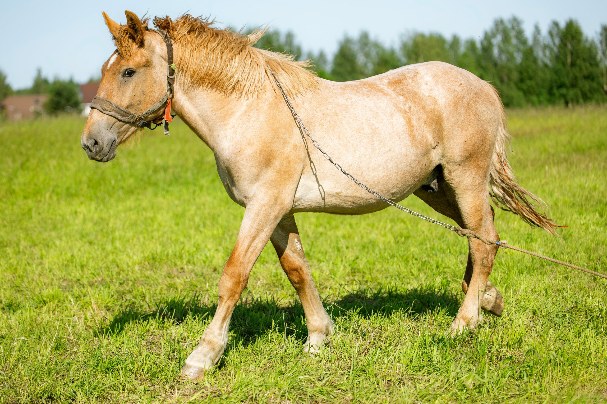 Maria and Olga. Самид Али, фотограф из Санкт-Петербурга, Россия