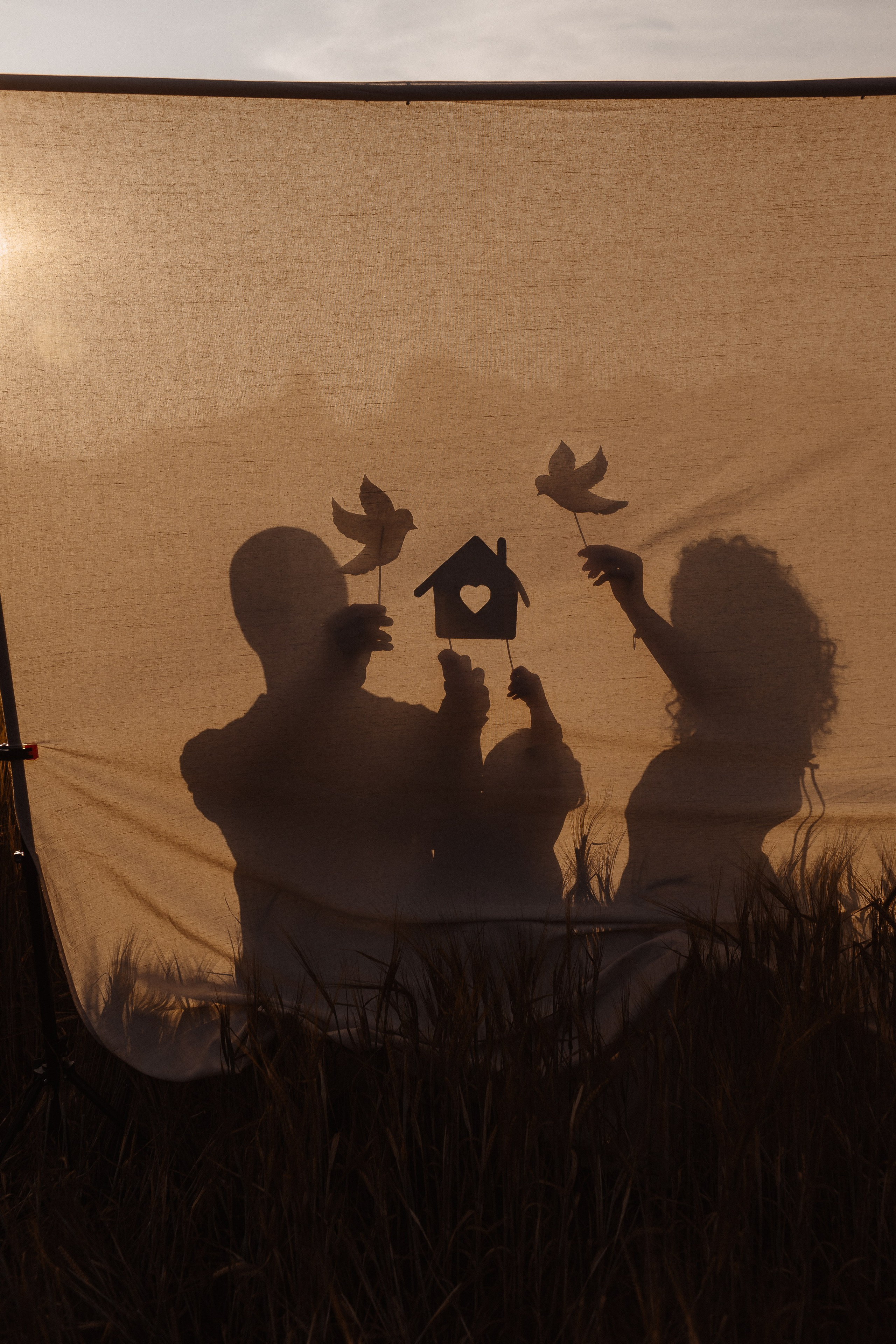 Золотое счастье. Фотограф Лодейное Поле Екатерина Герасимова в Санкт-Петербурге и Лен. области