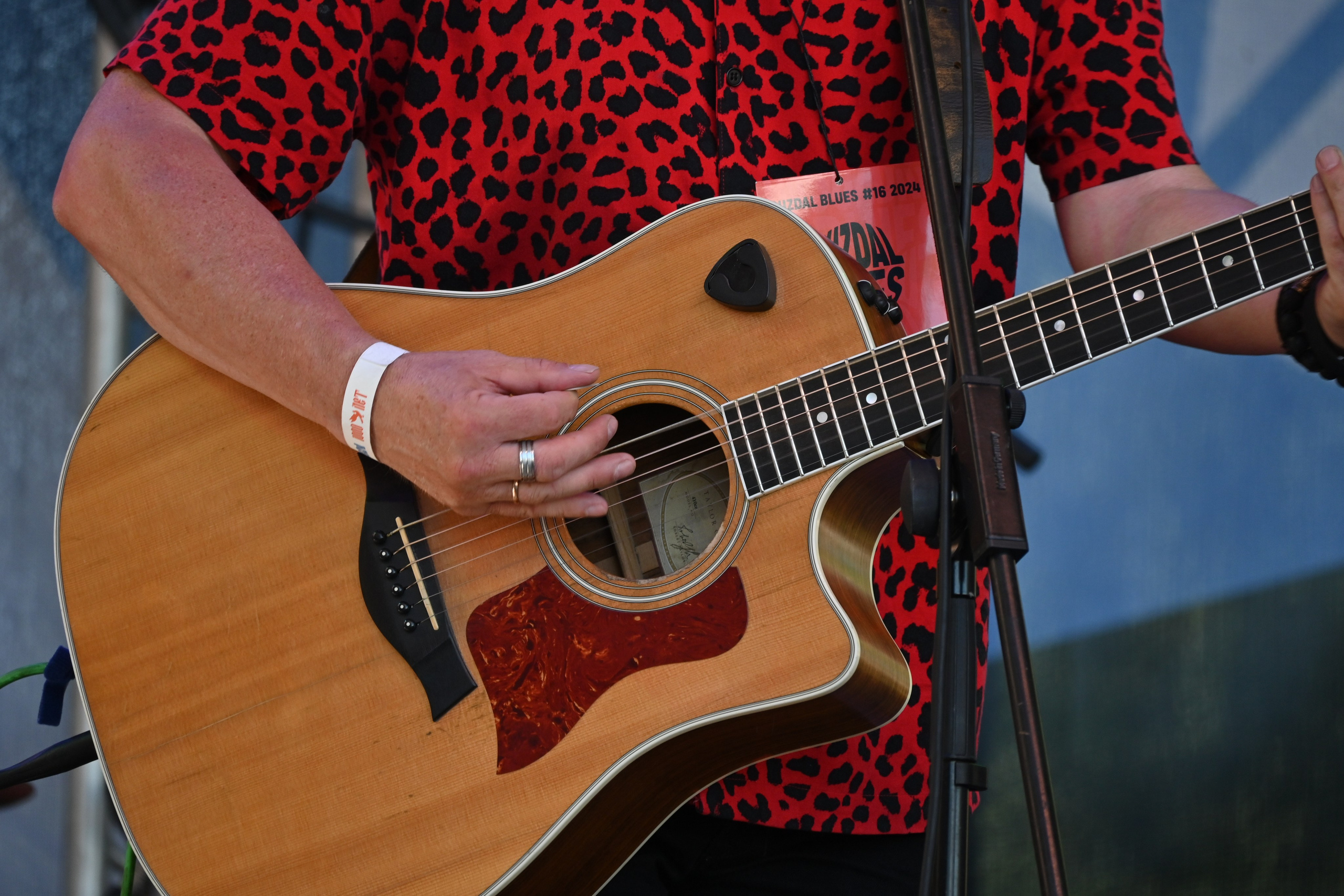 Концерт на мотофесте в Суздале 07.2024