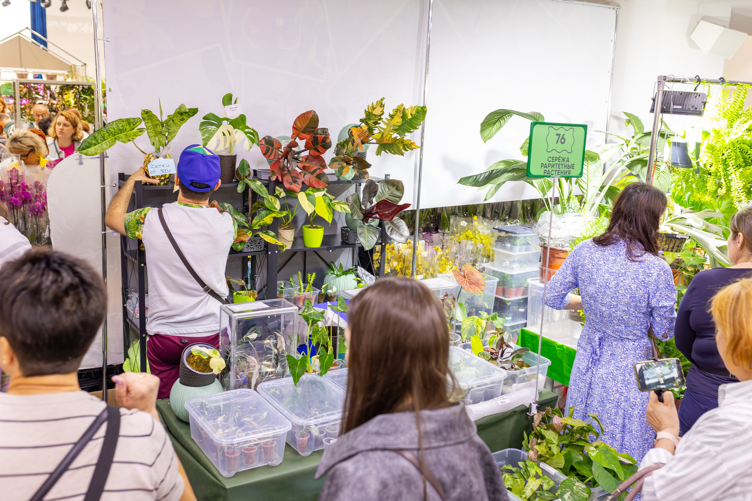 Орхидиум сентябрь 2025. Александра Куликова фотограф, Москва