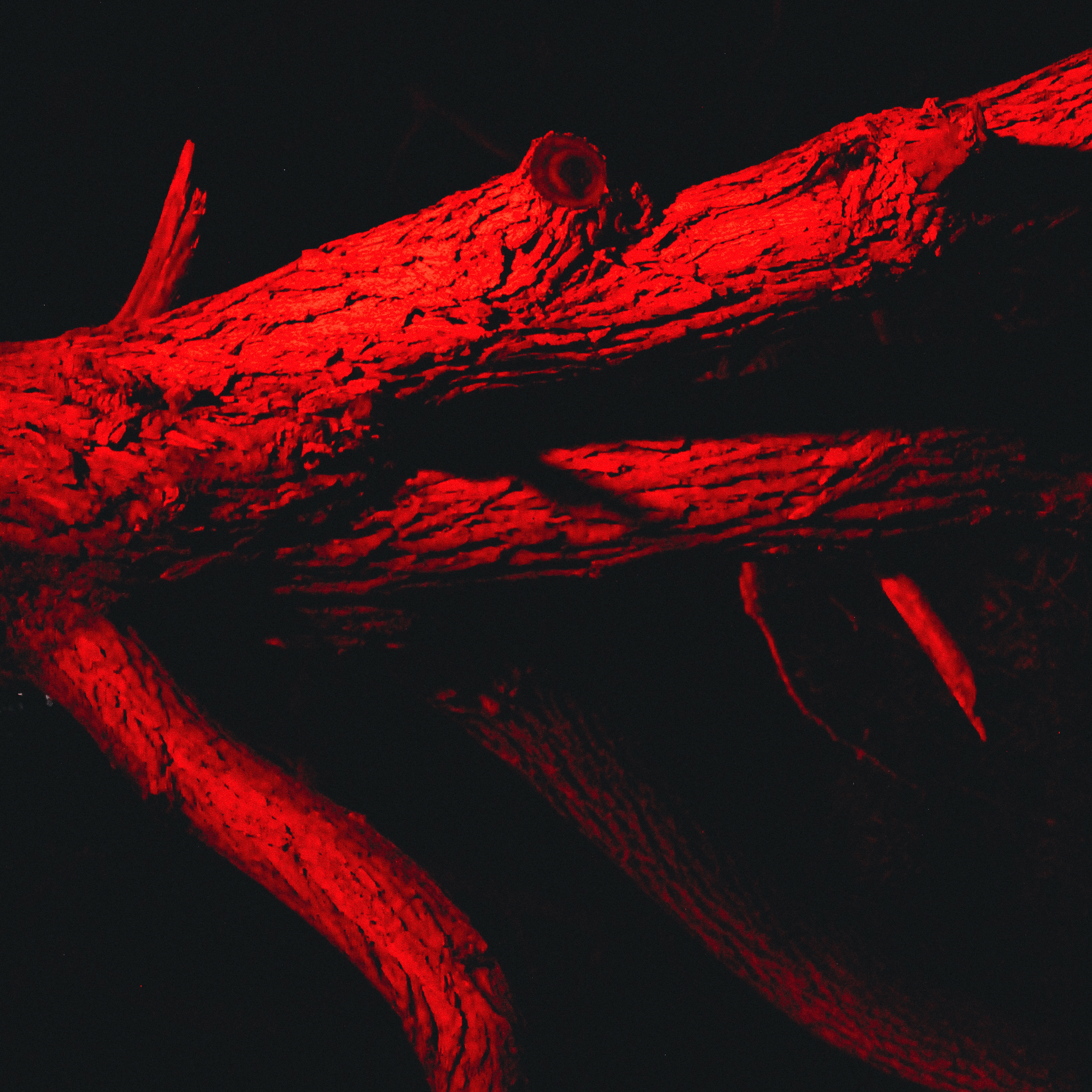 Summertime. Фотограф/дизайнер в Екатеринбурге Хитрый Дмитрий