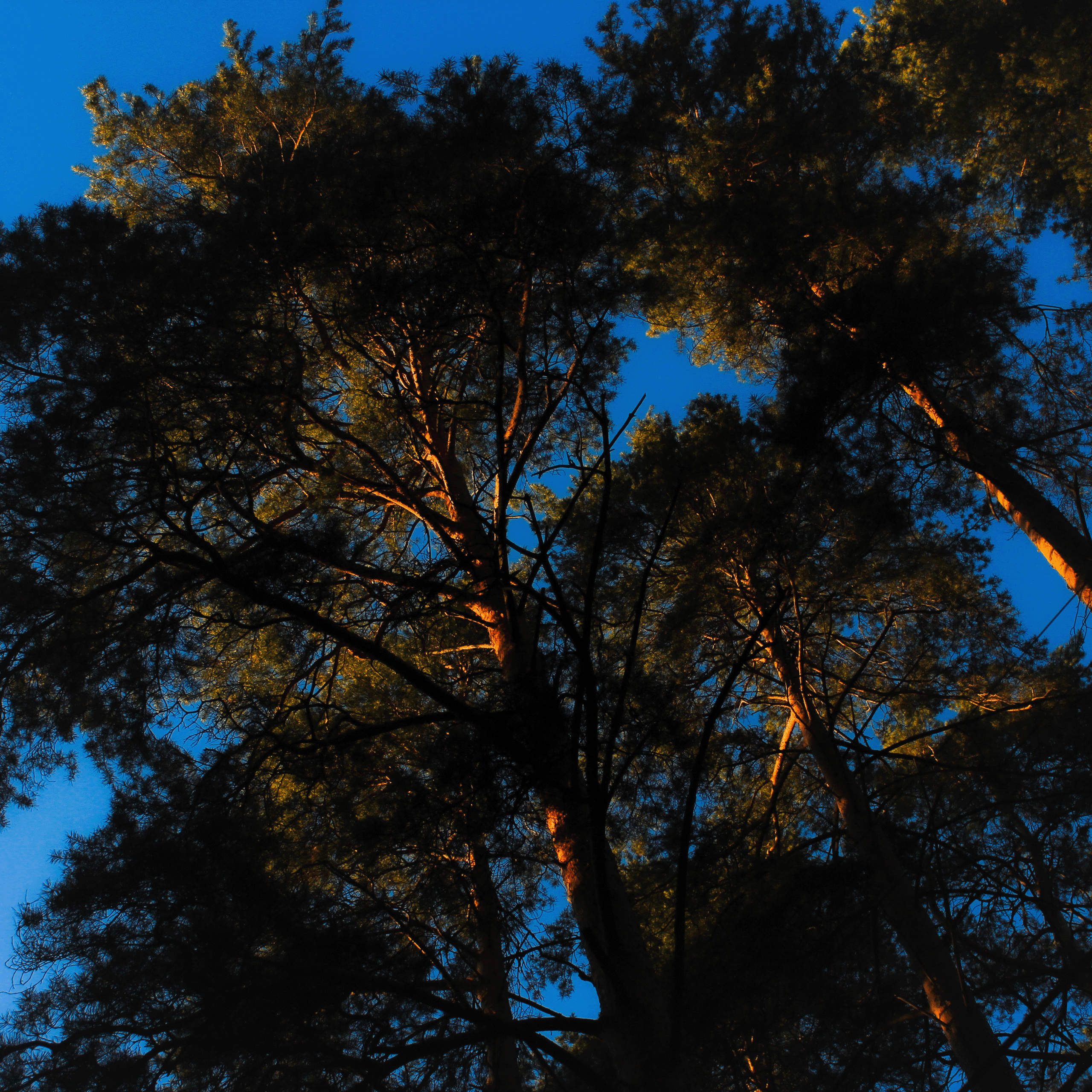 Summertime. Фотограф/дизайнер в Екатеринбурге Хитрый Дмитрий