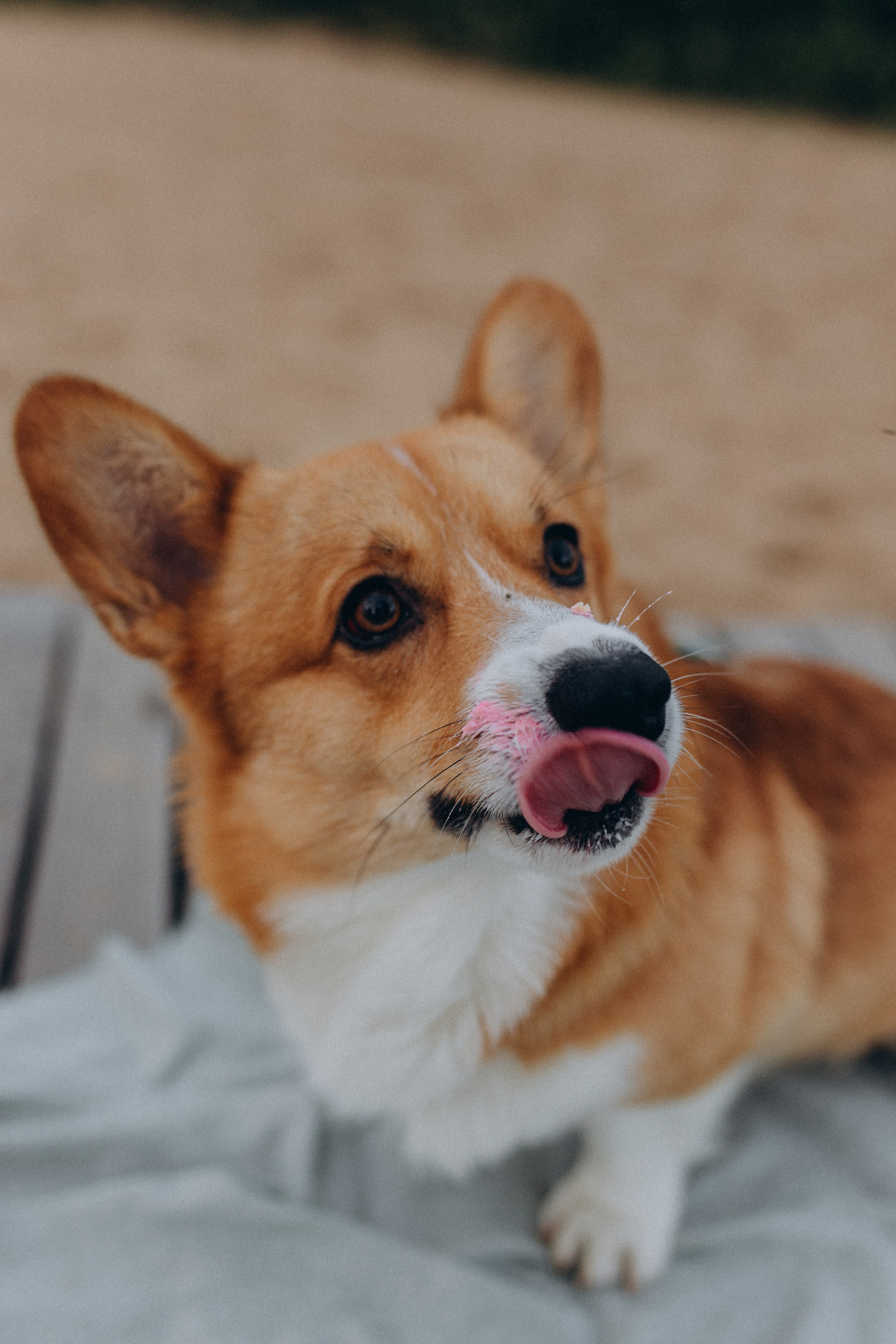 Эля, Денис и Сэми. Фотограф в Нижнем Новгороде Лебедева Елена