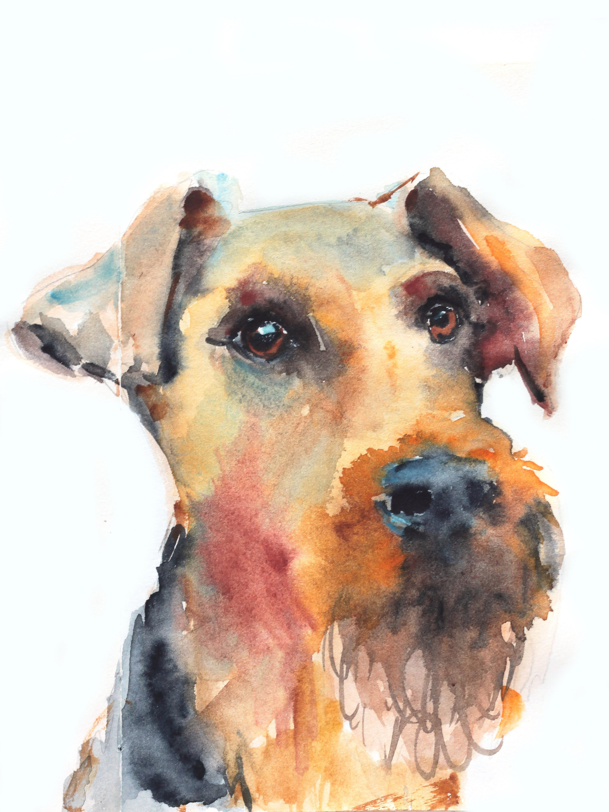 Акварельный блокнот