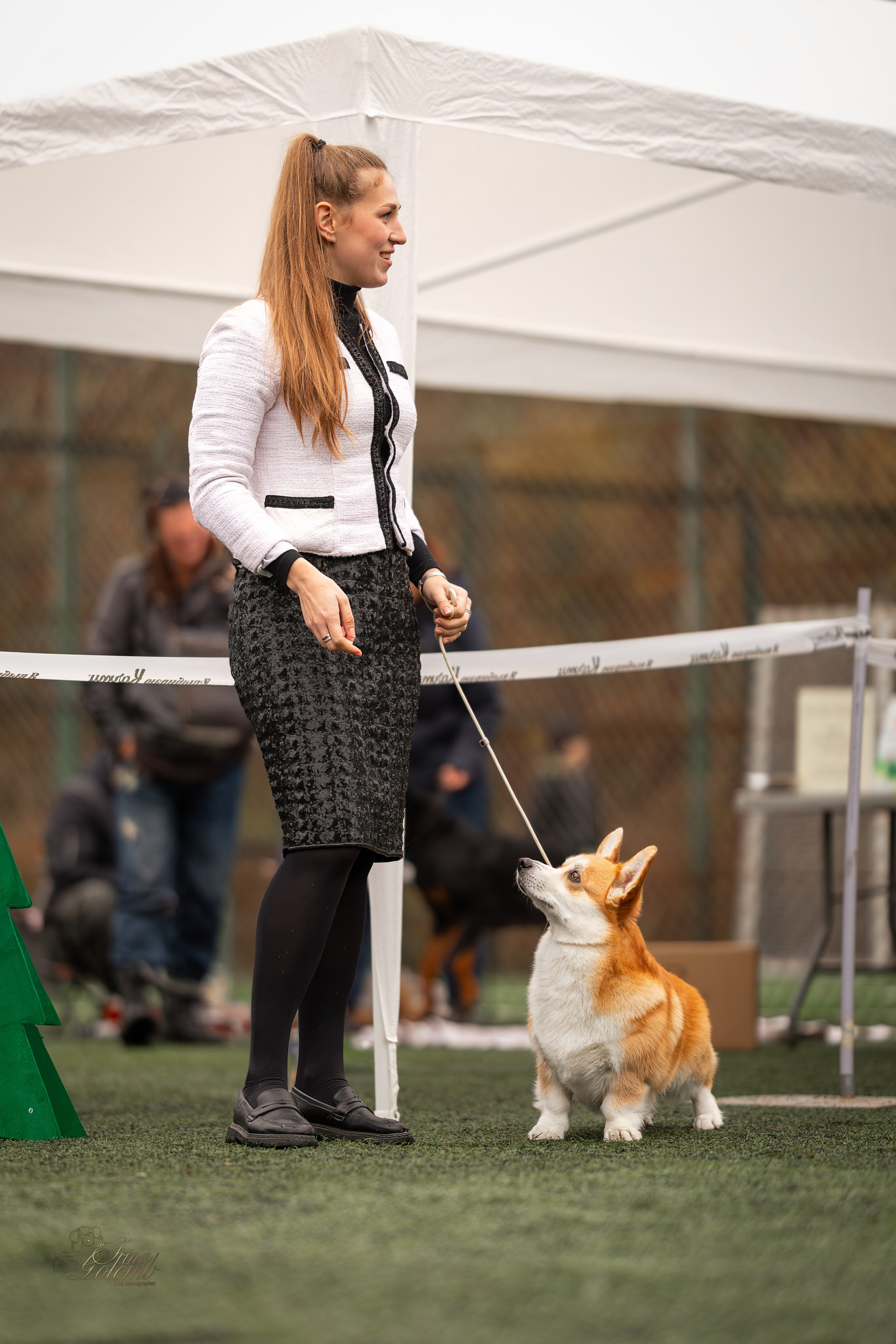 Выставка 17.12.23. Ирина Голомб|Фотограф-анималист в  Сочи и Калининграде