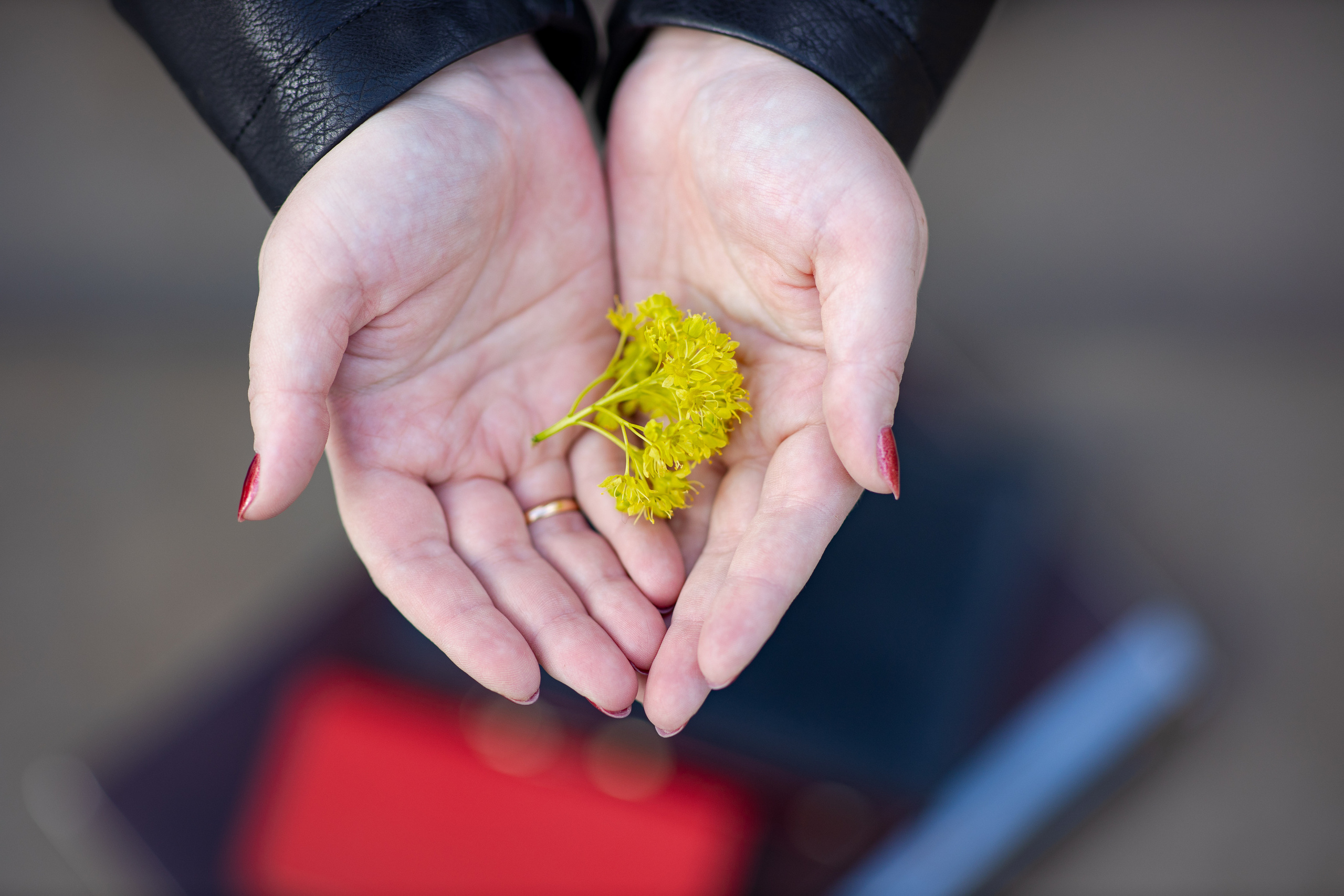 Про дизайн. Фотограф в Нижнем Новгороде для тебя и твоего бизнеса