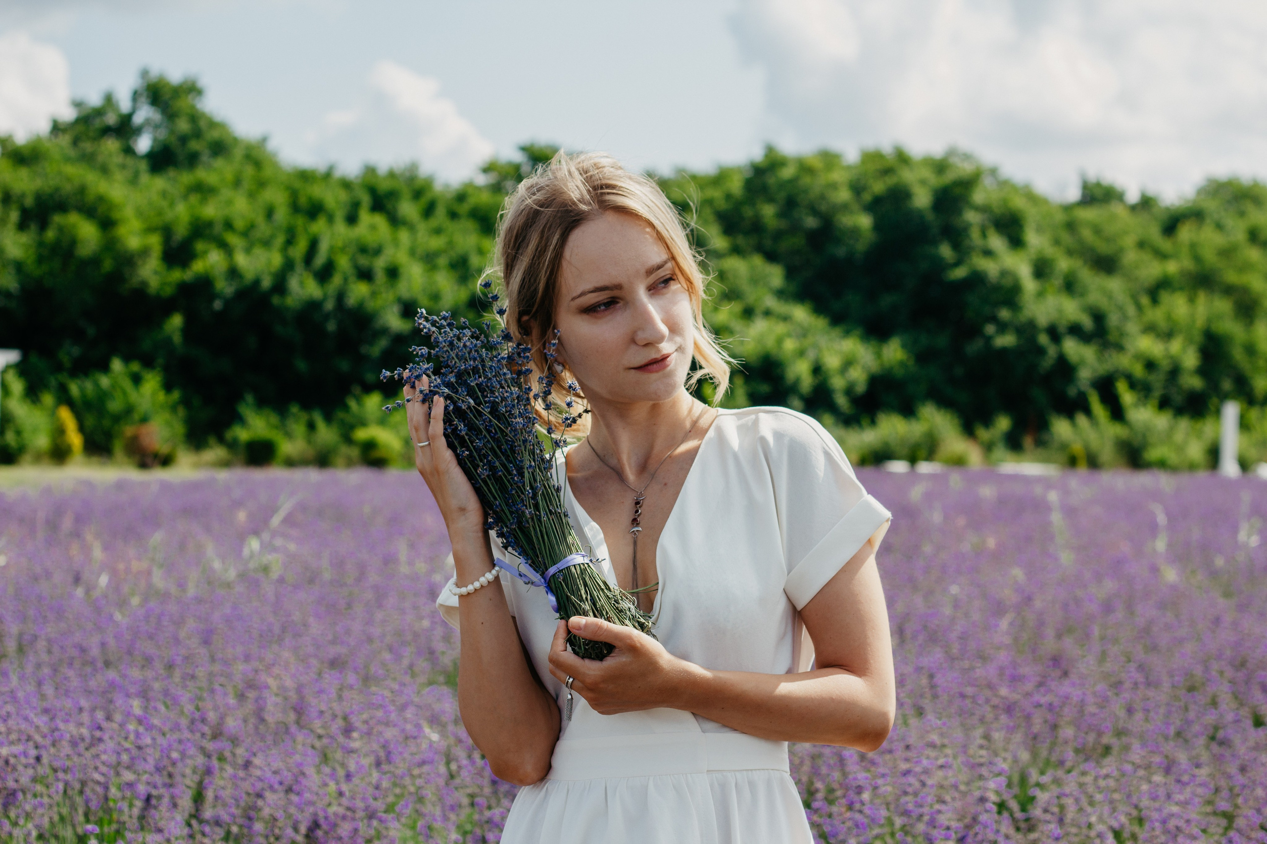 Лаванда. Главная