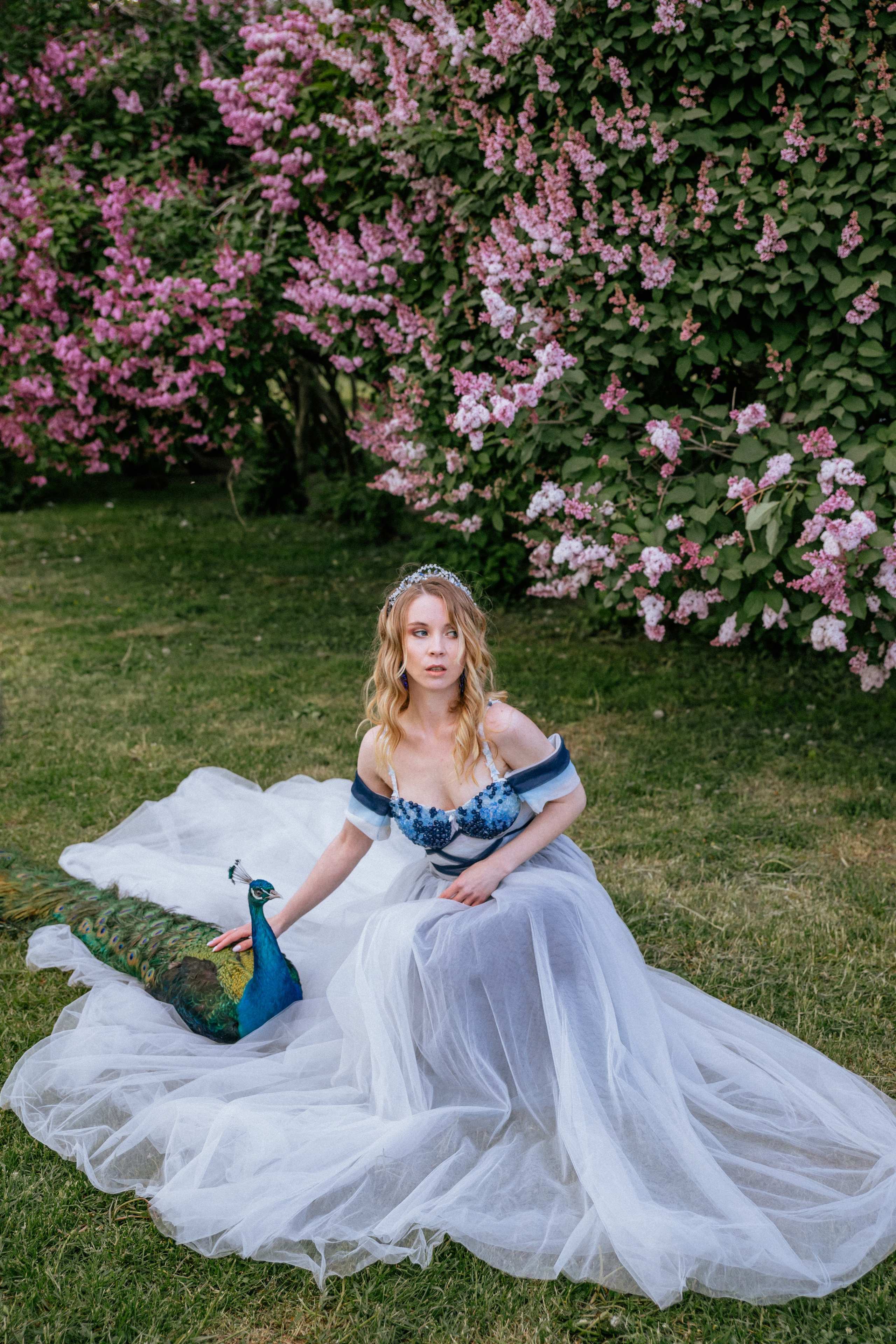 Павлин. Elena Sova — семейный и женский фотограф в Санкт-Петербурге